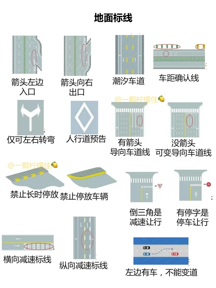 科目一图标标志大全‼️看这篇就够了