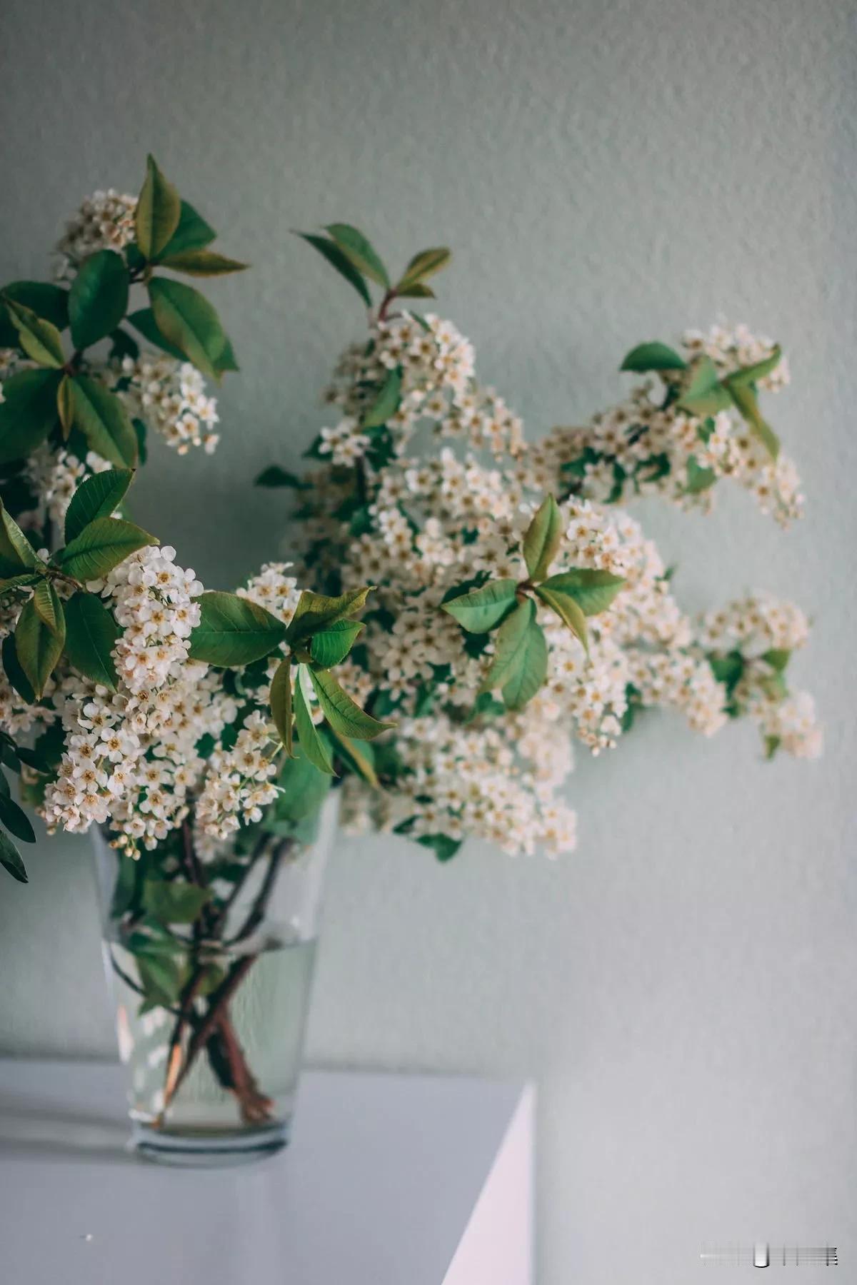 幼儿园也开始带娃了？河南这波操作获赞
家里有2-3岁宝宝的河南家长注意了！河南鼓