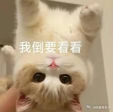 我比较好奇陈震复活后第一个商单会是谁家的