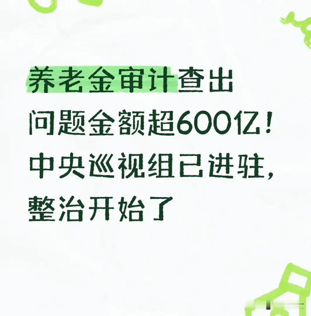 养老金审计查出问题金额超600亿！中央巡视组已进驻，全链条整治正式启动
 
20