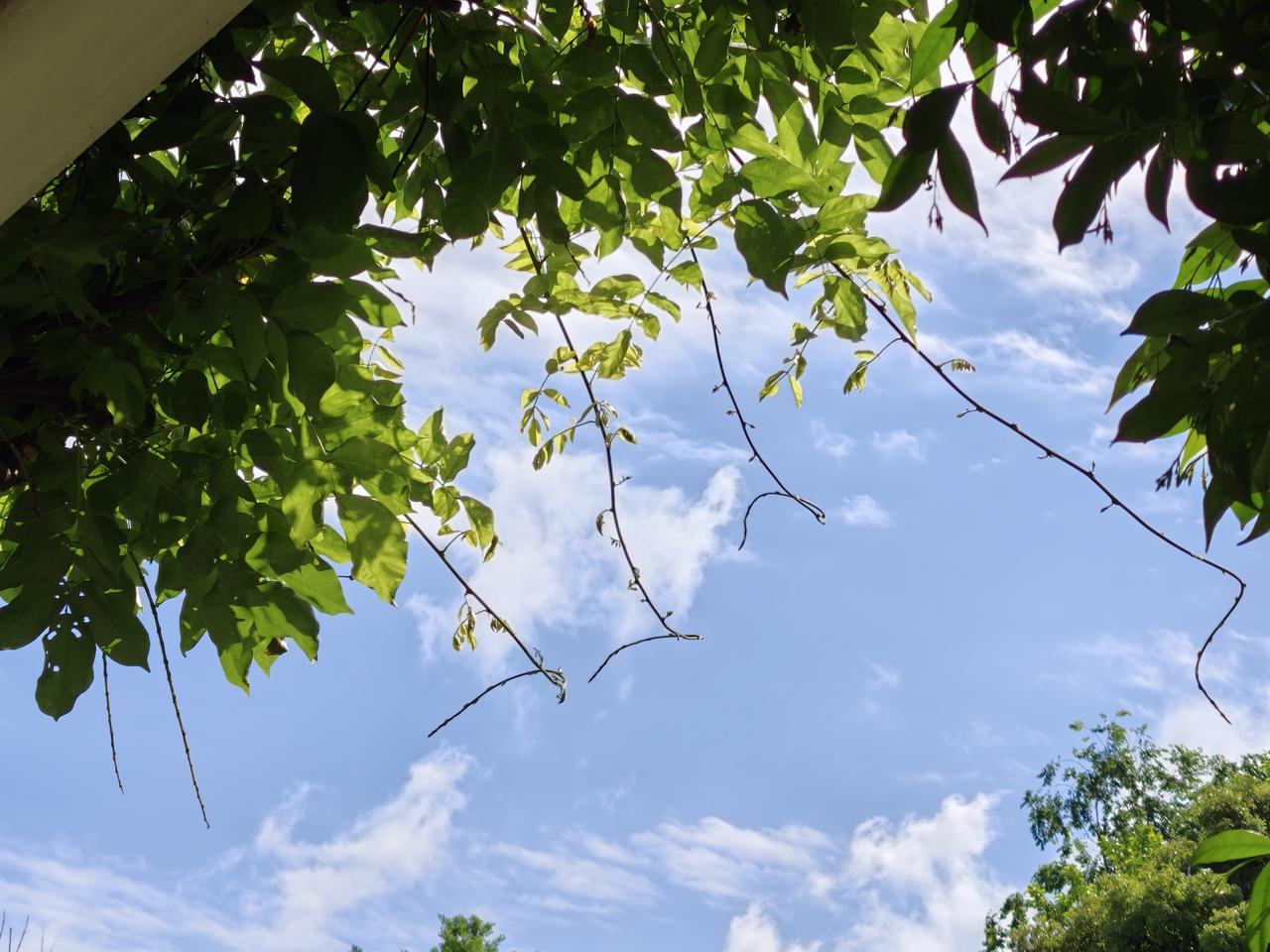 蓝天白云，春风柔柔，心情也和春天一样美好