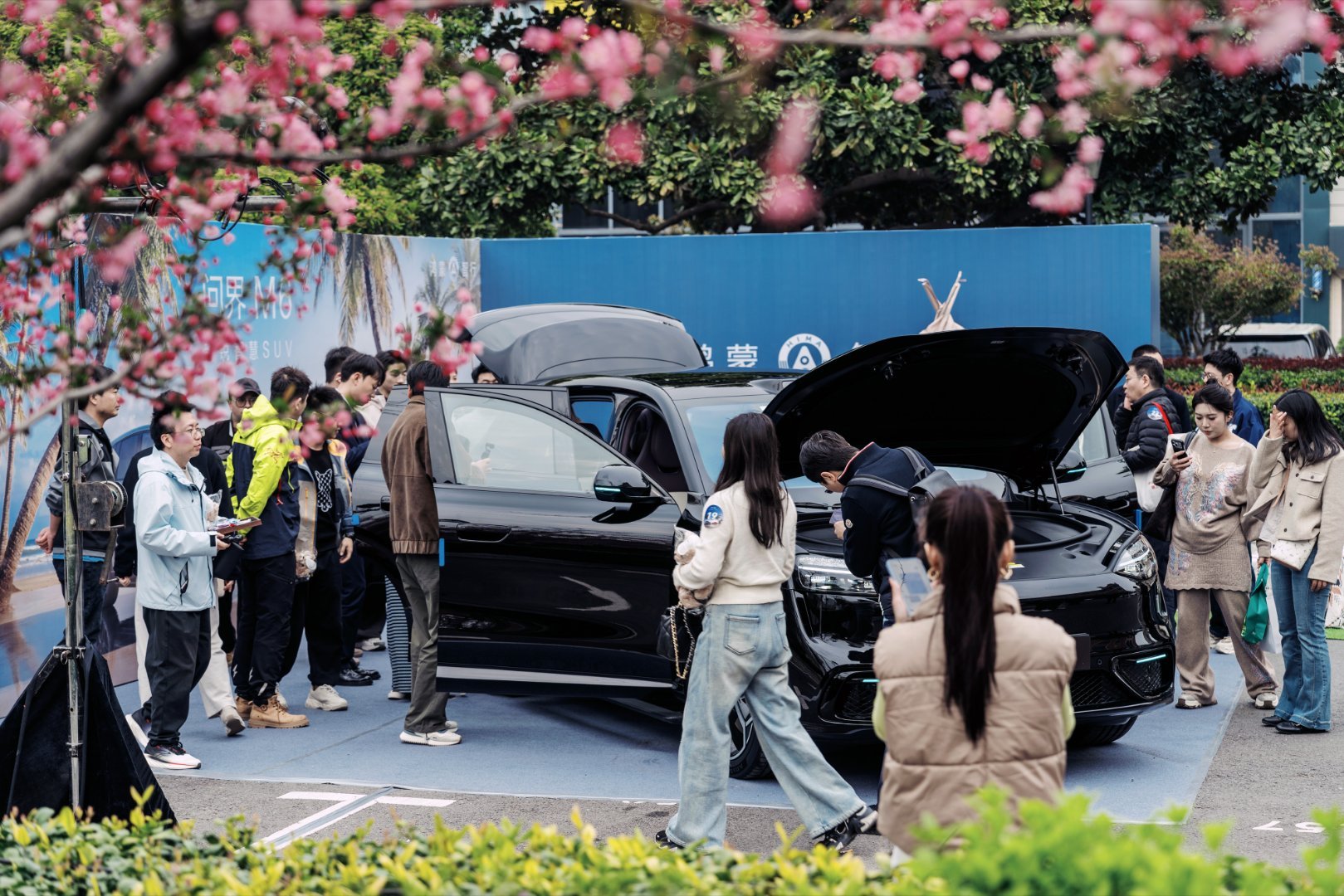 问界M6预售24小时订单6万太强了，问界M6 24小时订单6万，昨晚看了实车我就