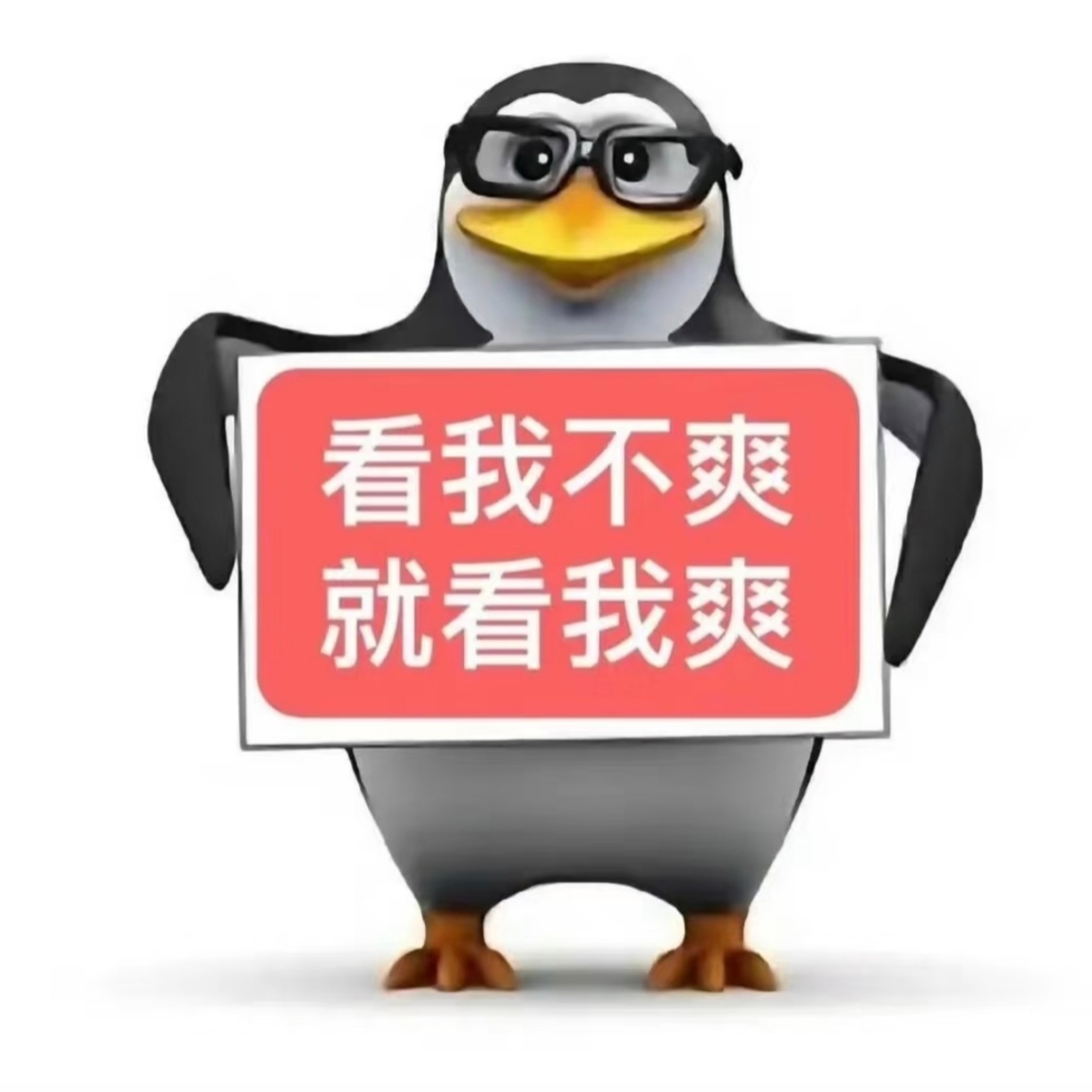 致夏思佳 