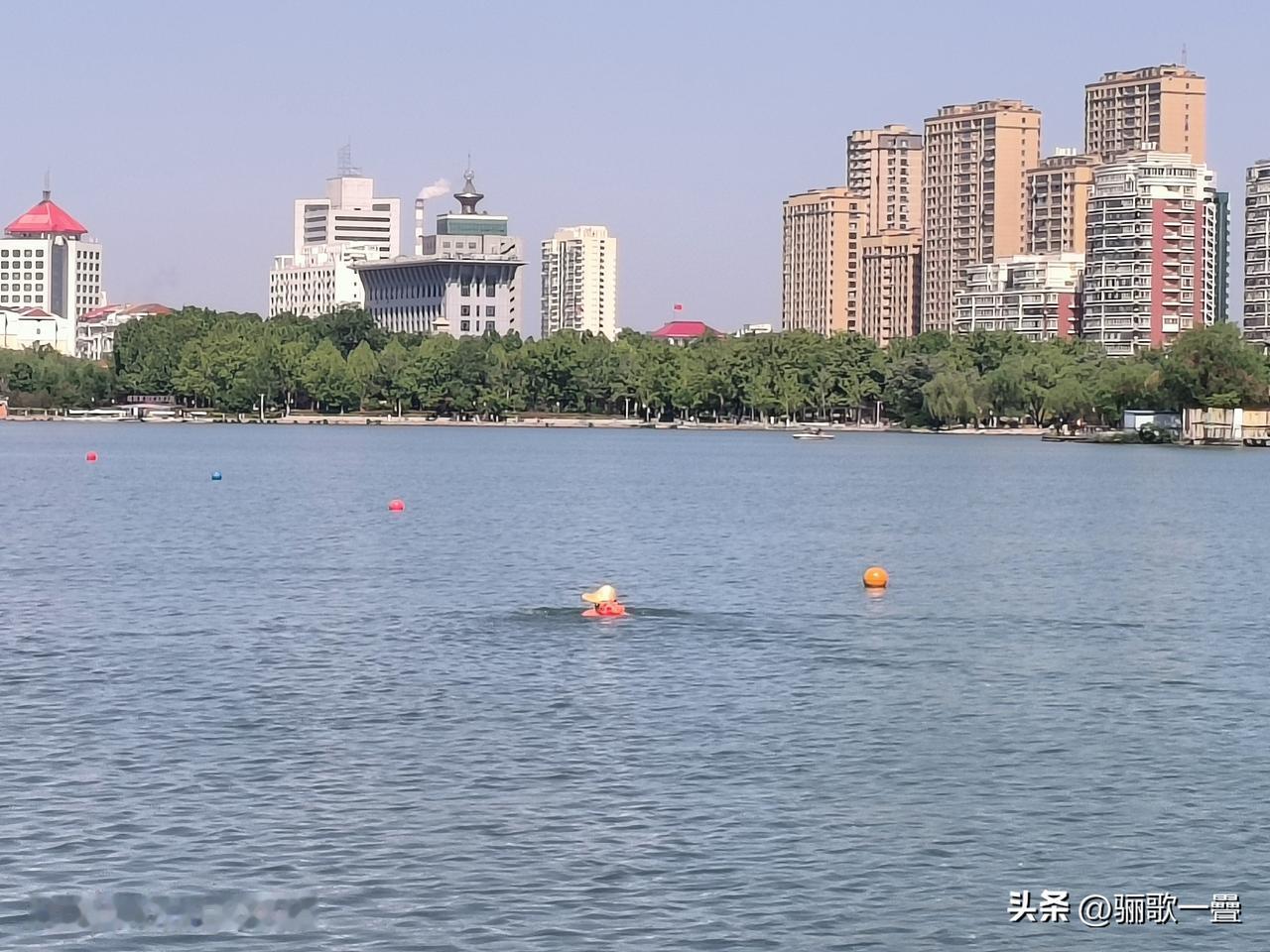 草帽姐在东昌湖游泳

东昌湖畔风景 

东昌湖，原名环城湖，位于山东省聊城市东昌
