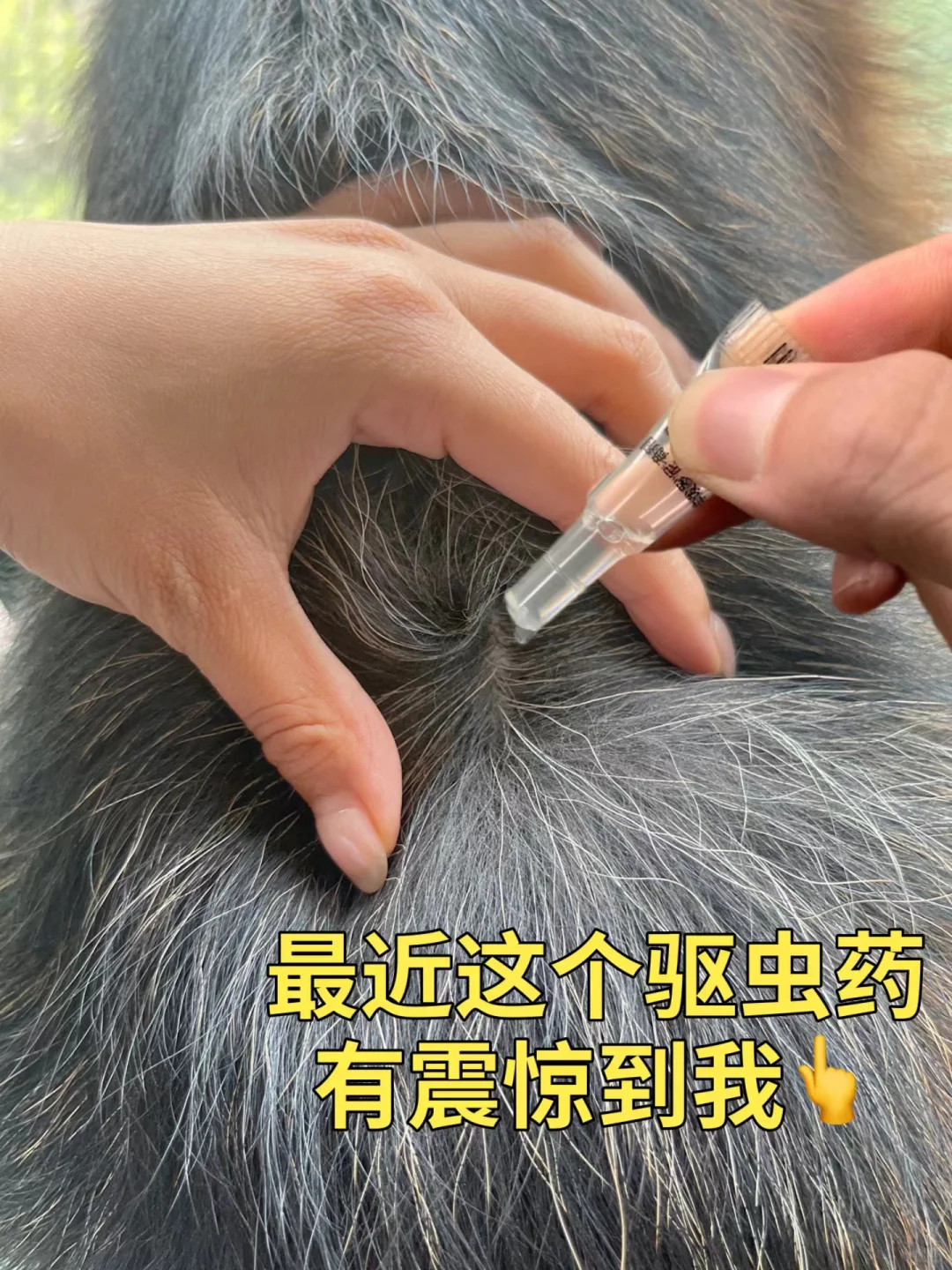 她哥的！这驱虫效果怎么这么强！