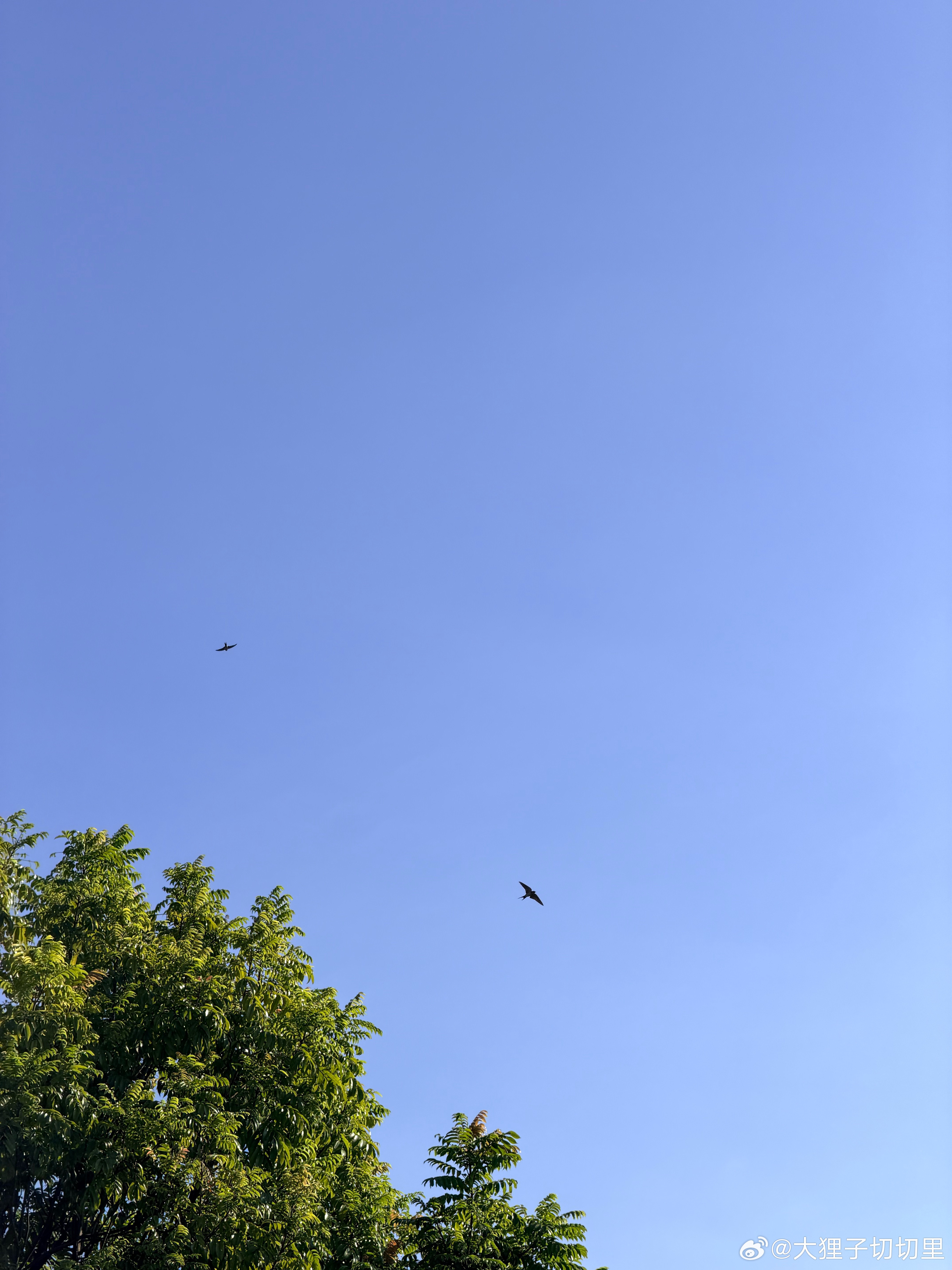 今天天气好好！好适合晒太阳[太阳] ​​​