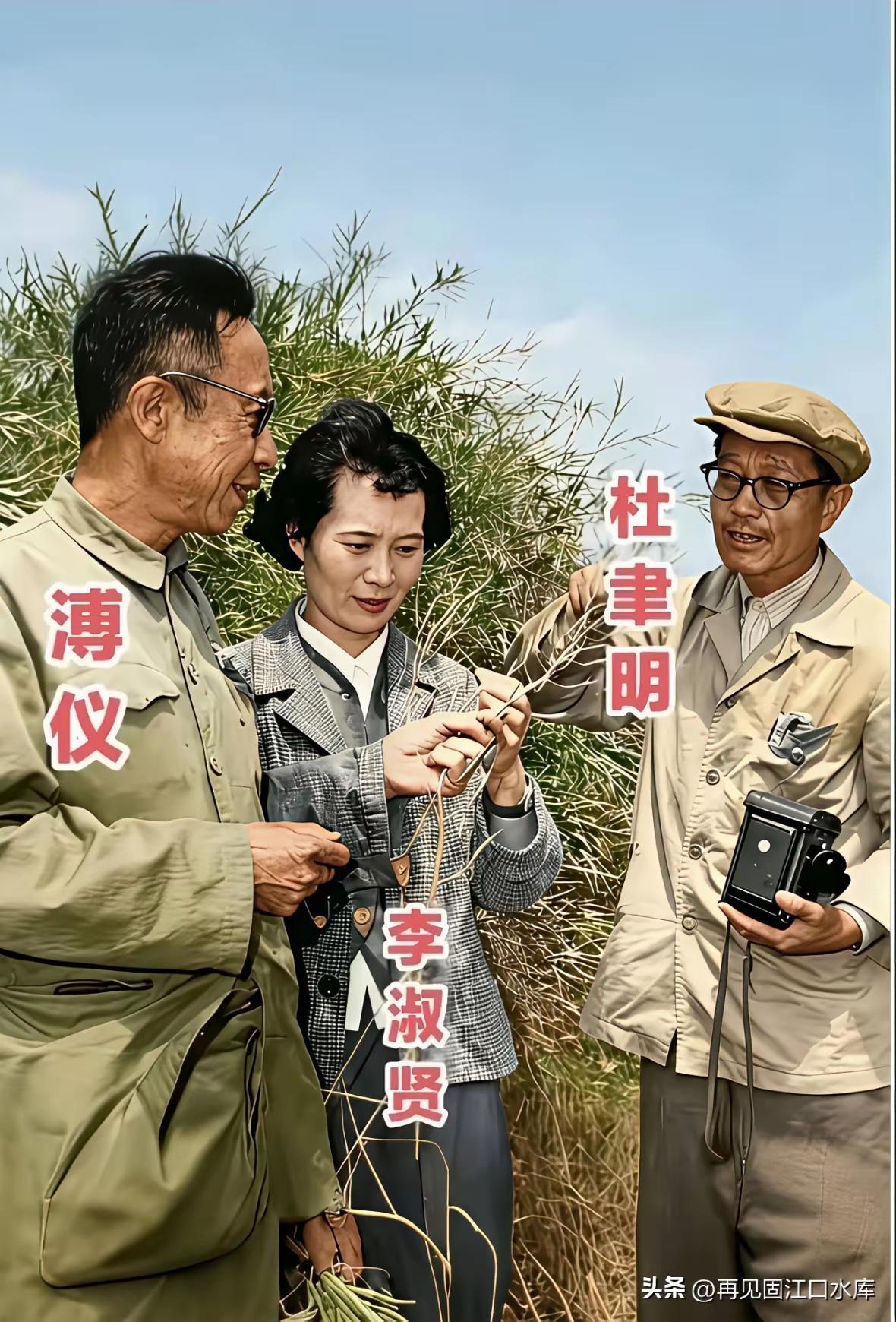 王铎：他们在讨论如何摄影
