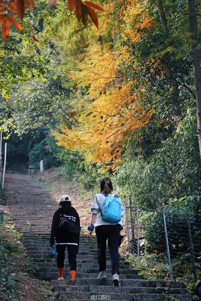 初秋寻找千与千寻汤屋 金秋岁月桂花寻香