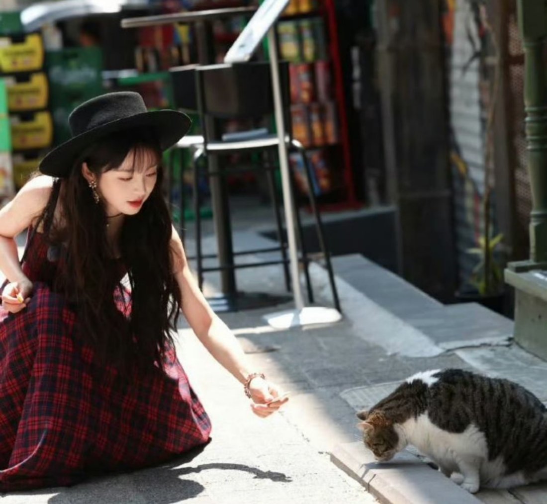 田曦薇身上的野猫味熏到康康了 感觉小猫也很可爱，平时在路边上就喜欢拍拍 ​​​