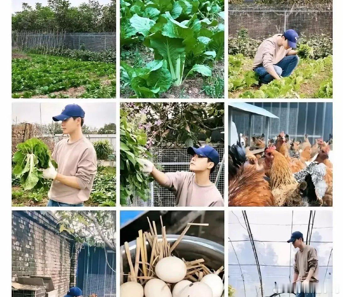 一个马天宇，一个苗苗，如果没有进入娱乐圈，会不会真的成为农夫呢？可能是因为有钱有