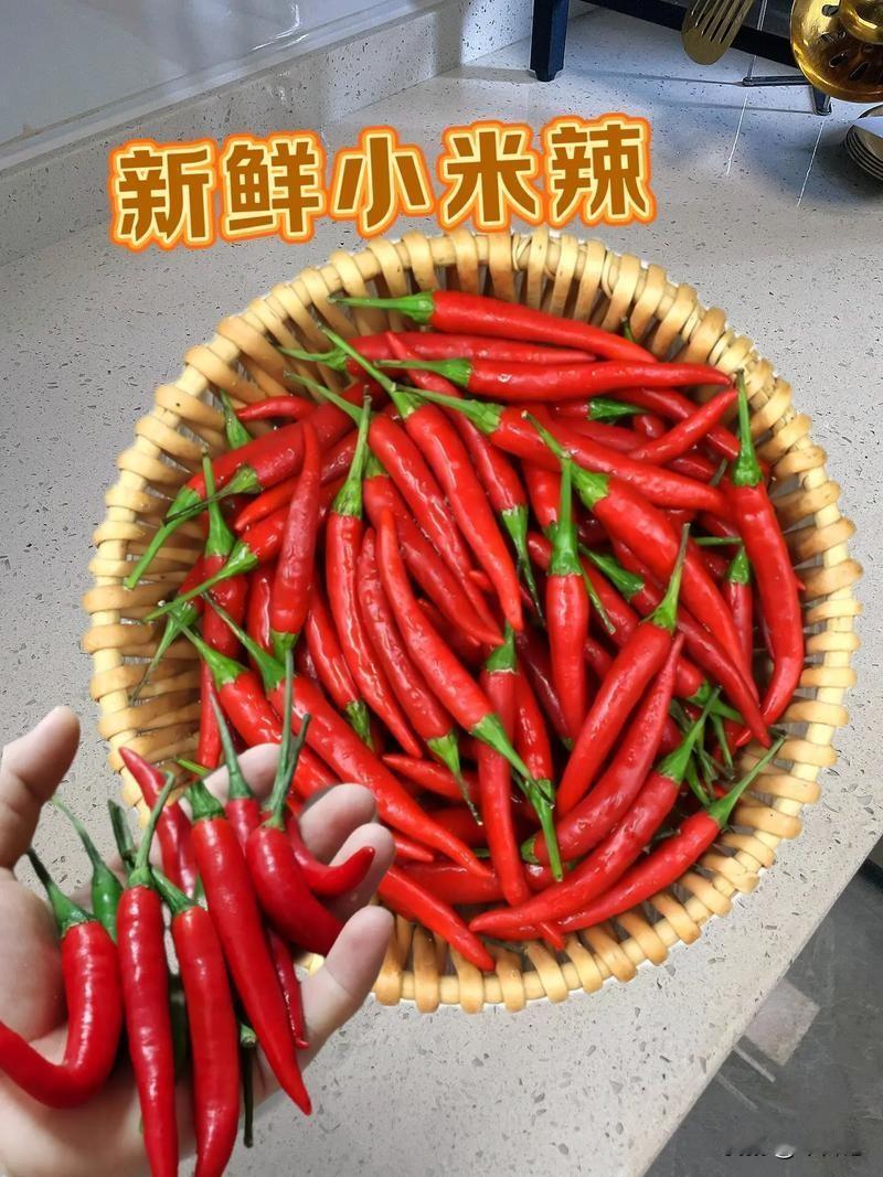 我发个小米辣椒，
和小米稀饭会不会被投诉