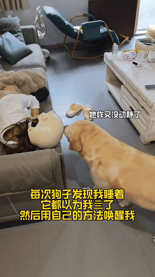 医生：“怎么受伤的？”
我：“被狗打的”
医生：“说话不要带情绪”