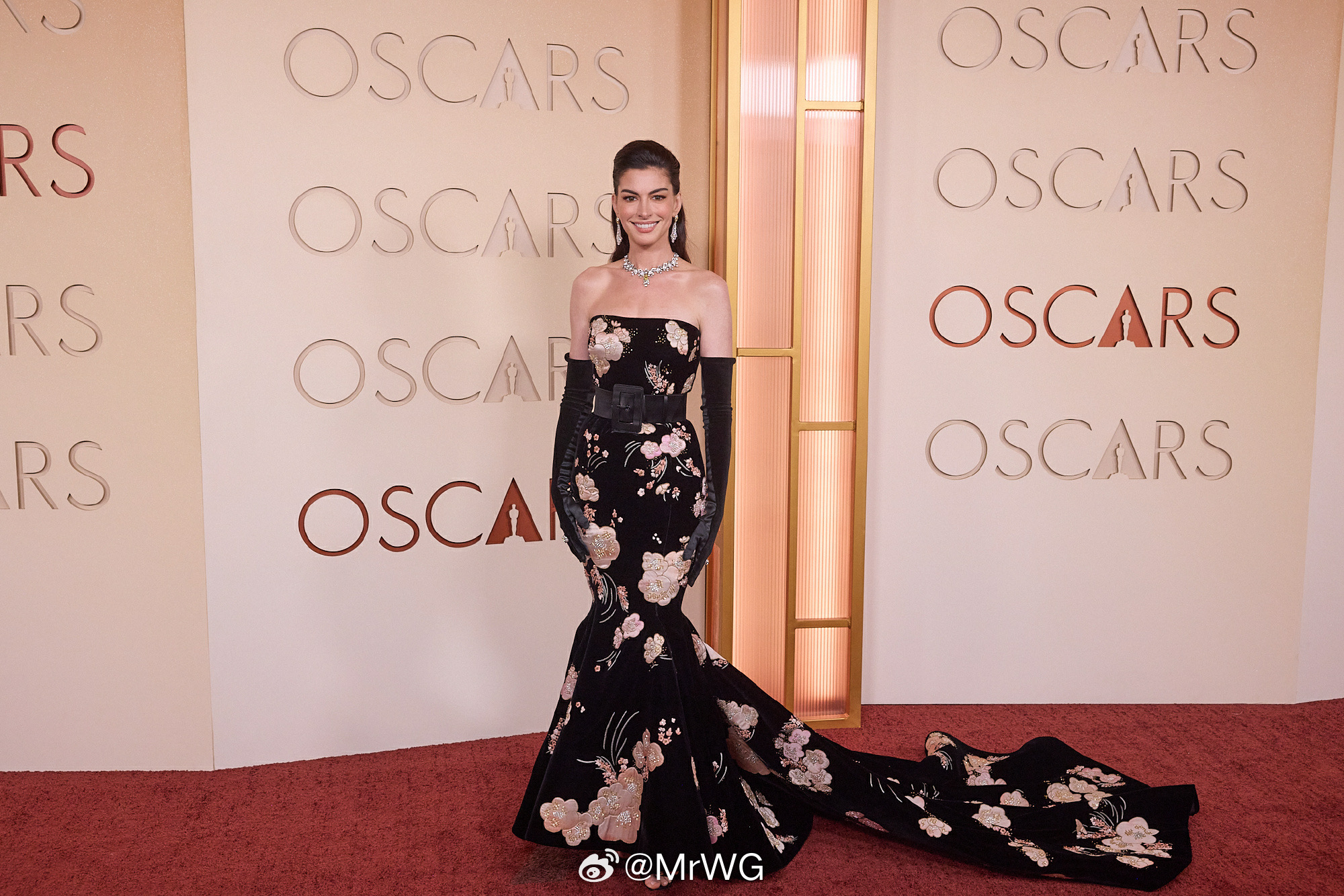 奥斯卡红毯新桃绽放，春意渐盛，接住这个桃花美神🌸，2026你一定桃花不断！安妮