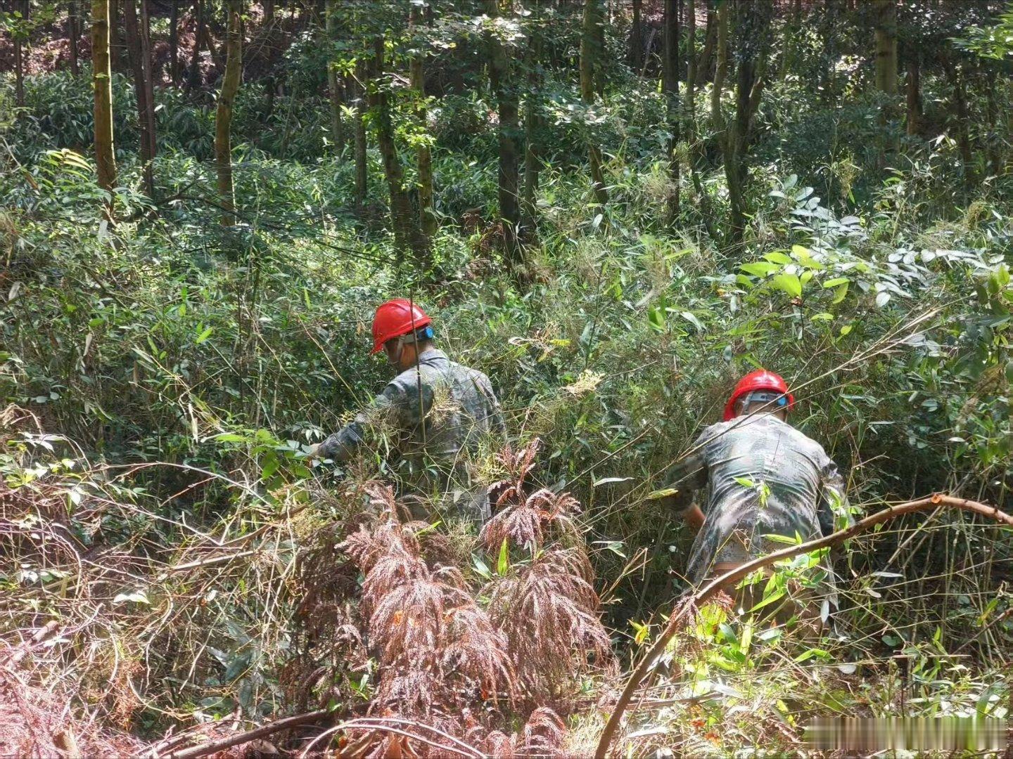 一代代林场人接力守护把荒山变青山在临海，有一片7.89万亩的林海——临海林场，森