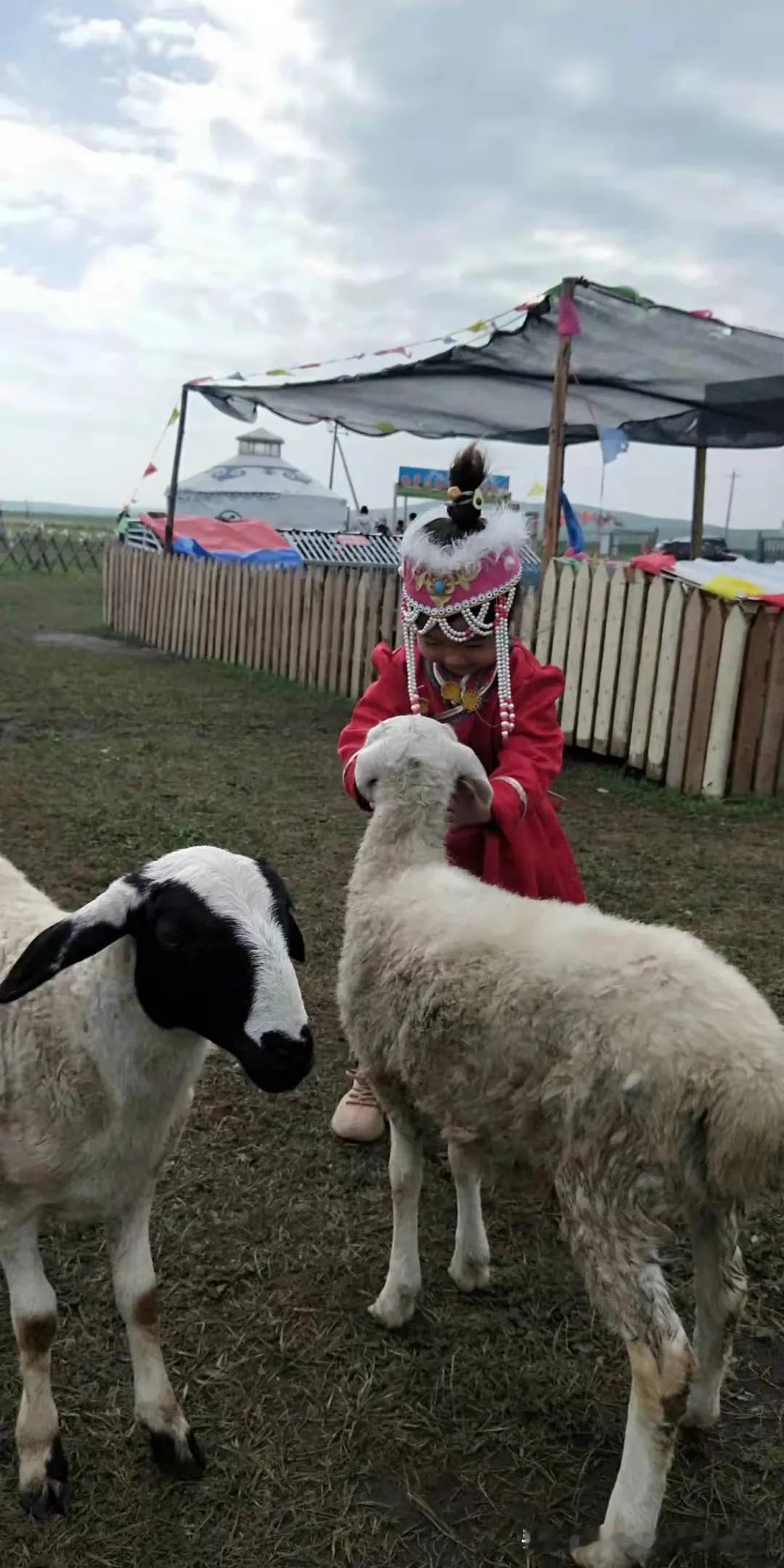 “亲子游”旅行目的地，漠河东哥推荐呼伦贝尔
🌿 为什么选择夏季去呼伦贝尔？
气