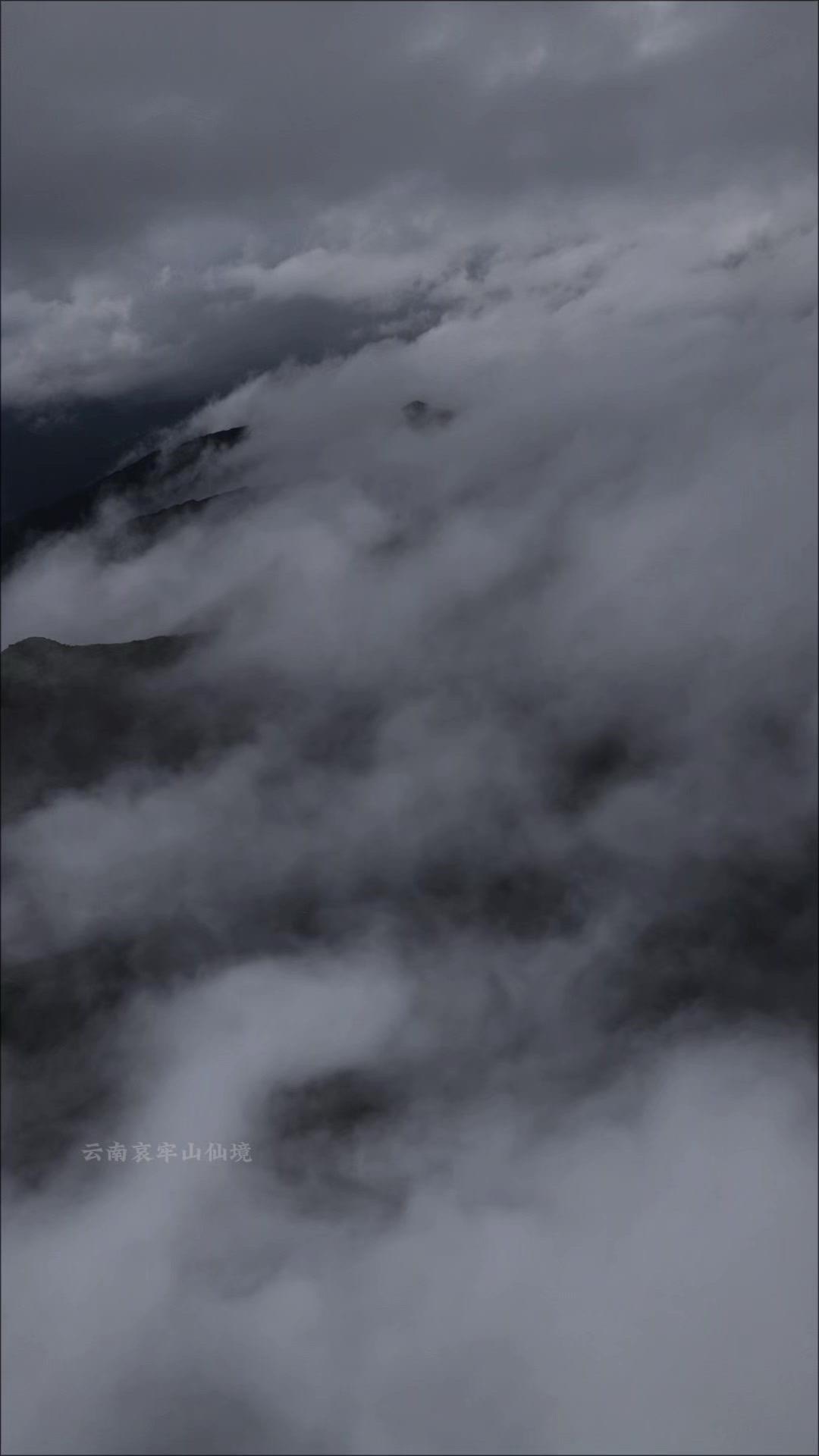 🌟哀牢山的清晨，薄雾像奶油裹住山峦，阳光穿透云层洒在草甸上，每片叶子都在发光。