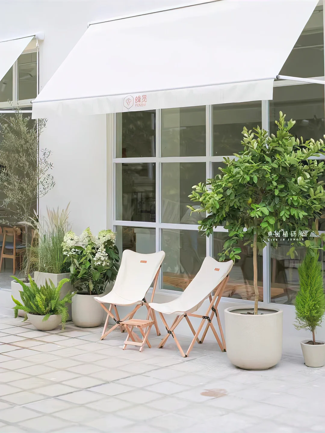 绿植外摆|店面布置也可以舒适惬意