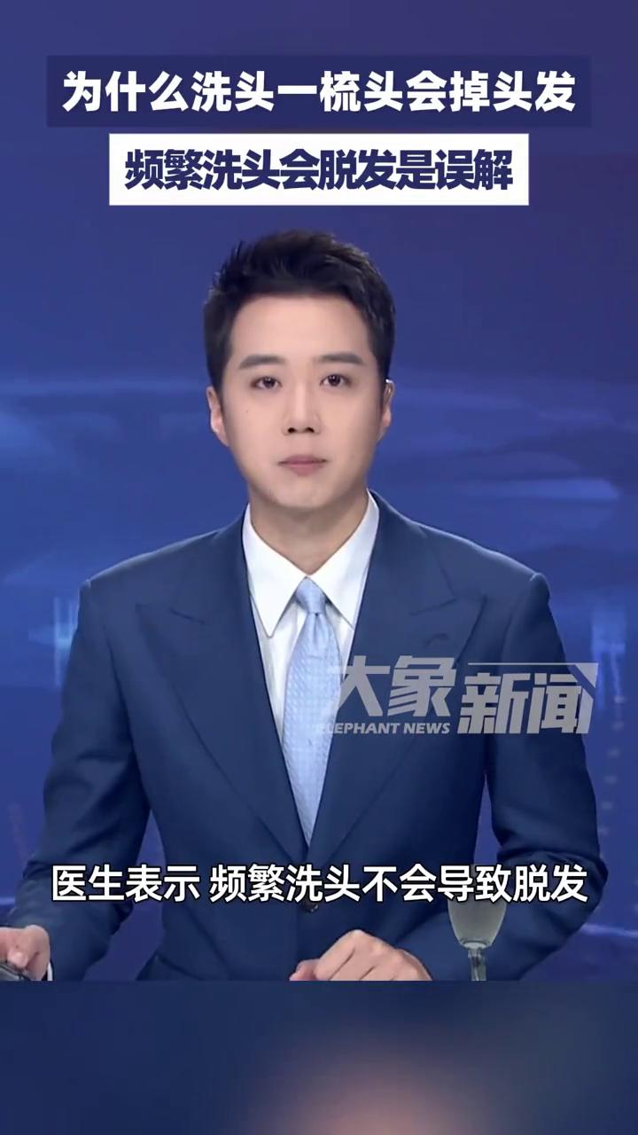频繁洗头会脱发是误解，你多久洗一次头？为什么洗头一梳头会掉头发？
大象新闻主播杨