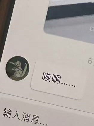 在看演唱会的意思？ 