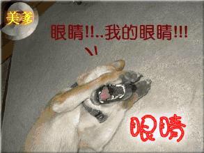 刷到一段双人舞，满脑子都是“麦艾斯！！！” 