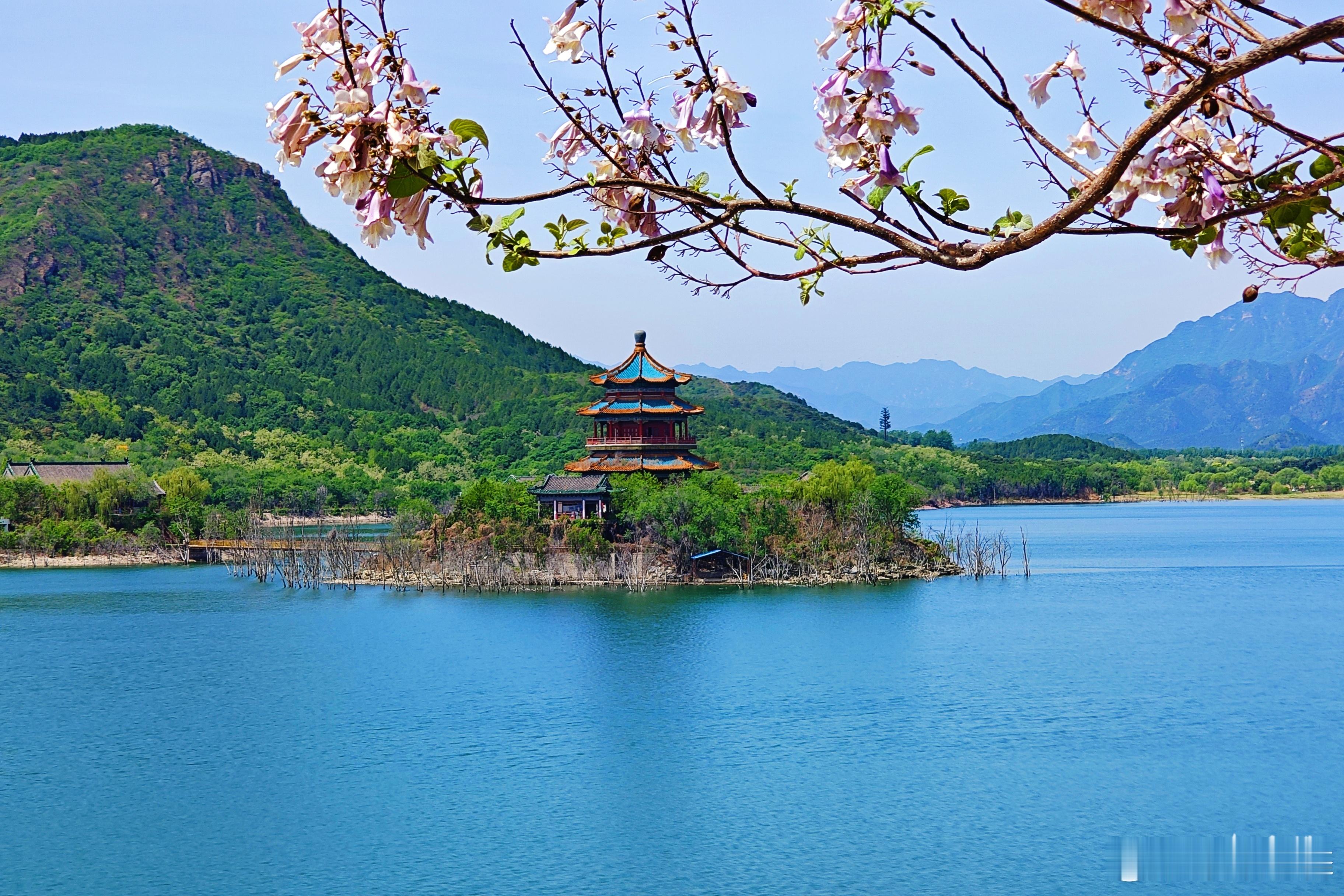 【今天立夏】🌸十三陵水库虽然不开放，可外围风光已经让我们沉醉。远处青山如黛，连
