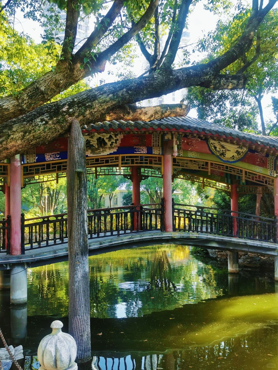 不是苏州❗️是长沙绝美小众园林～地铁直达