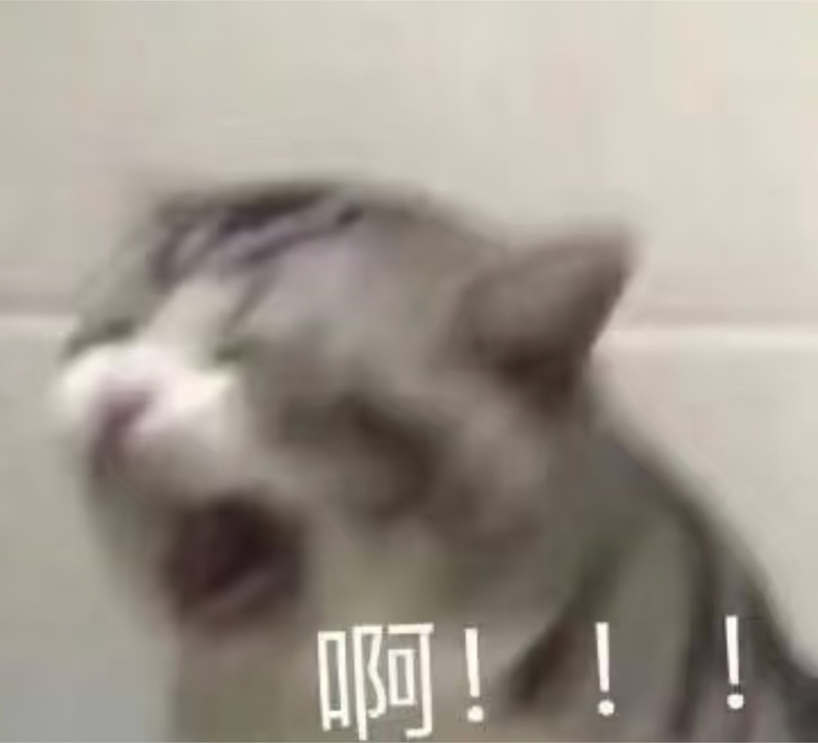 清华保研生曾因专业自卑退学北大我也自卑了！！在我们普通人眼里真的是超级凡尔赛 ​