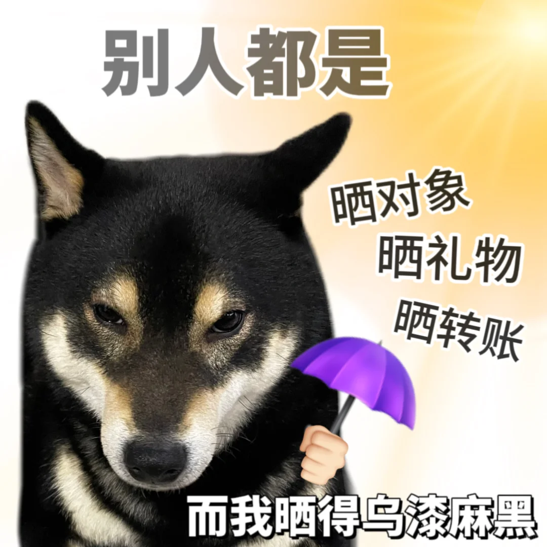 表情包|我的代号是孤狼🐺