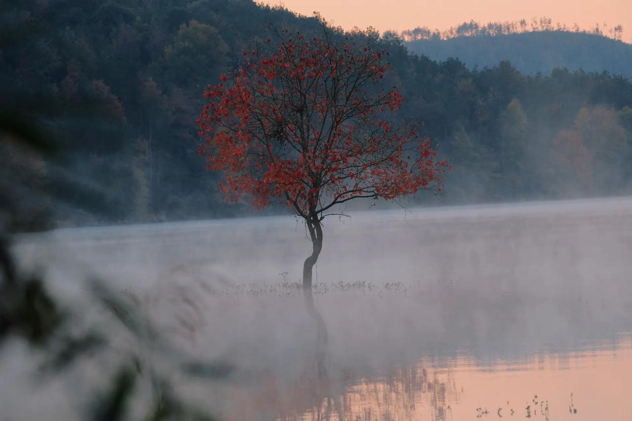 客观地对比一下中国和美国，对我们每一个中国人来说，有这样一个清晰的认识，对我们的