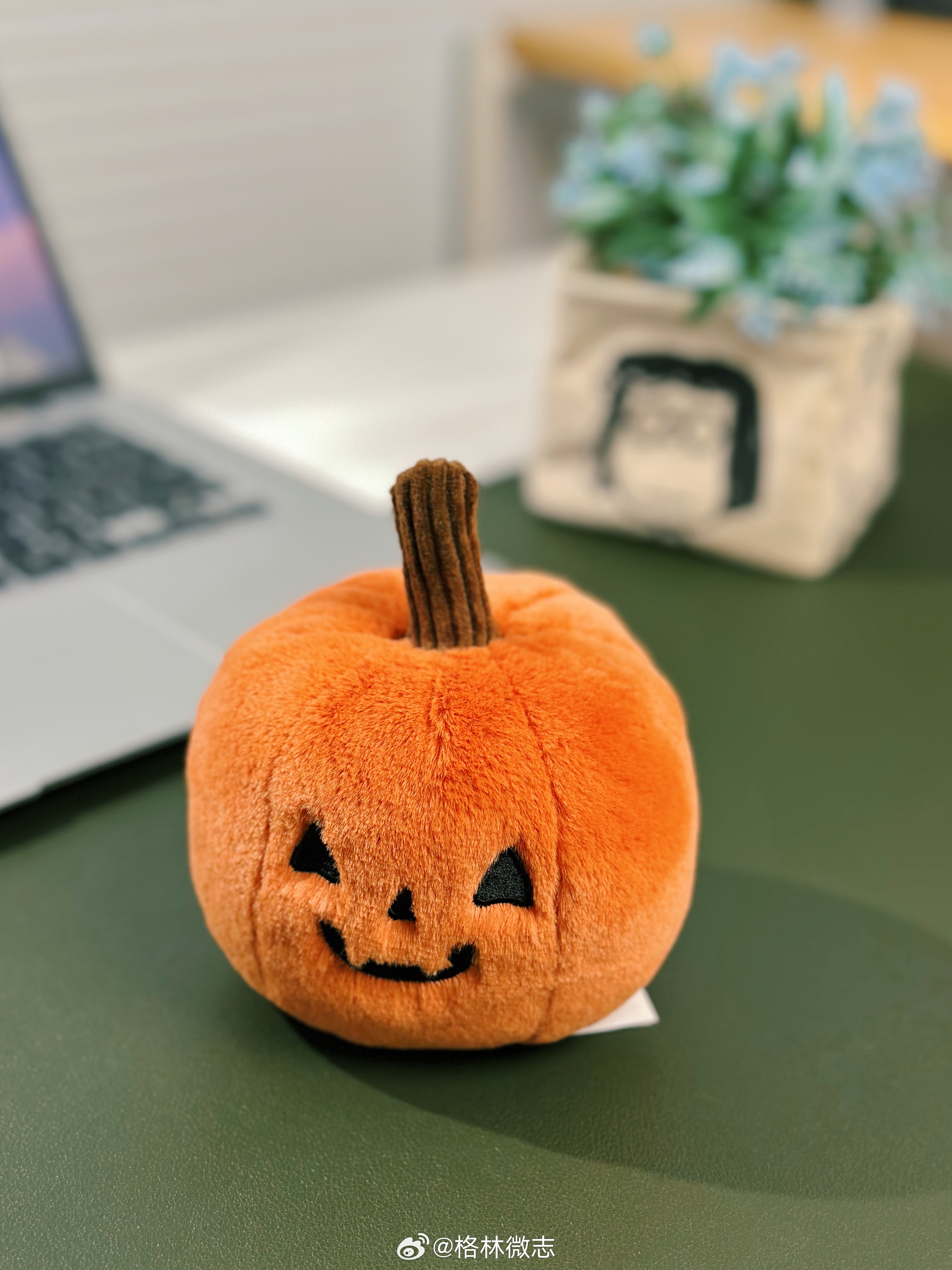 刚收到新成员～好可爱🎃🎃🎃 