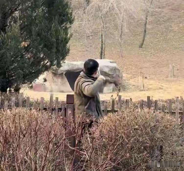 据说这个人正在用弹弓打老虎，不是野生的老虎，而是圈养在动物园中的老虎，这种行为也