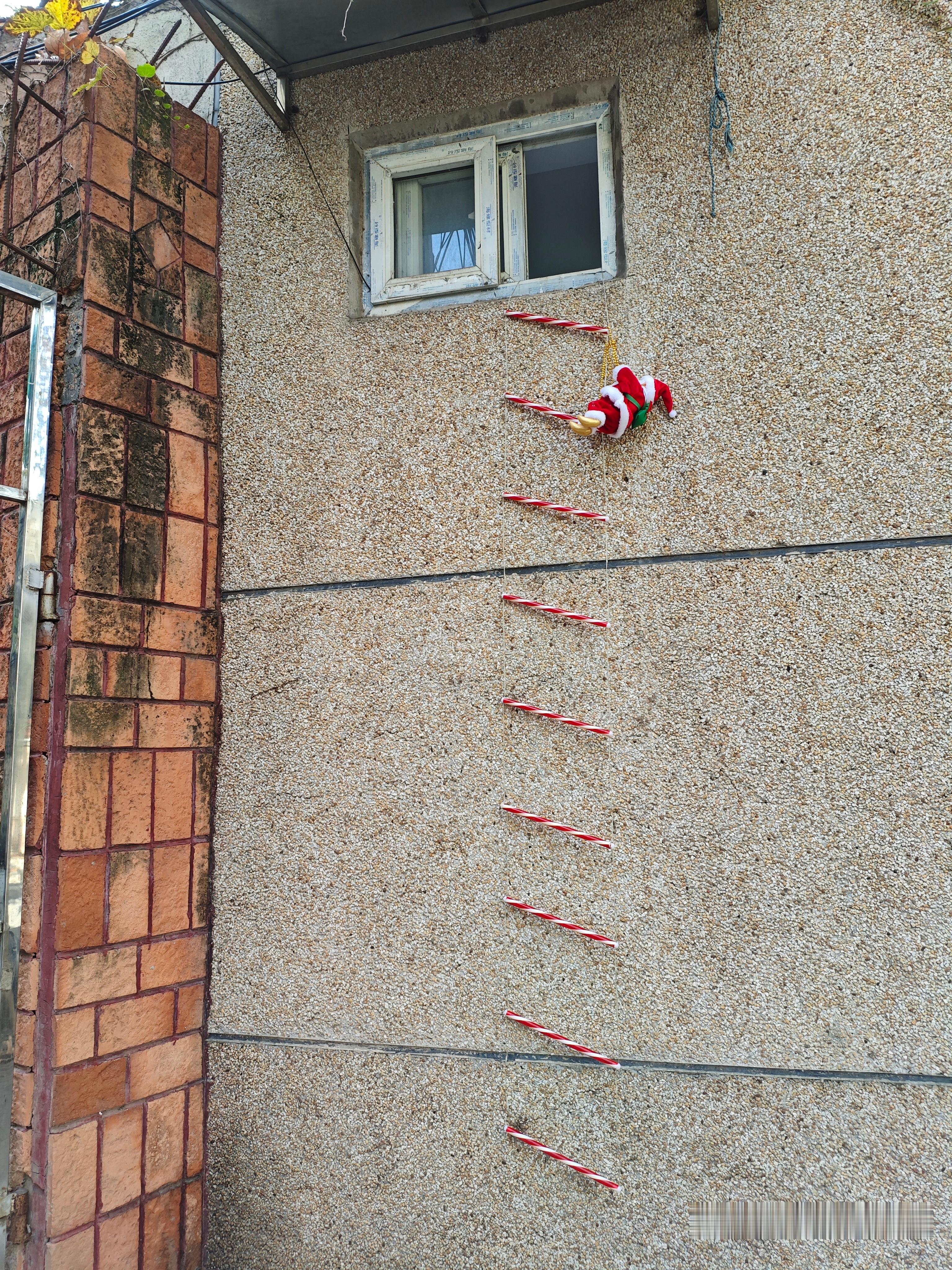 低成本圣诞氛围感诸位圣诞节快乐！🎄¹ 拍了这张照片，存之久矣。莫名的可爱。² 