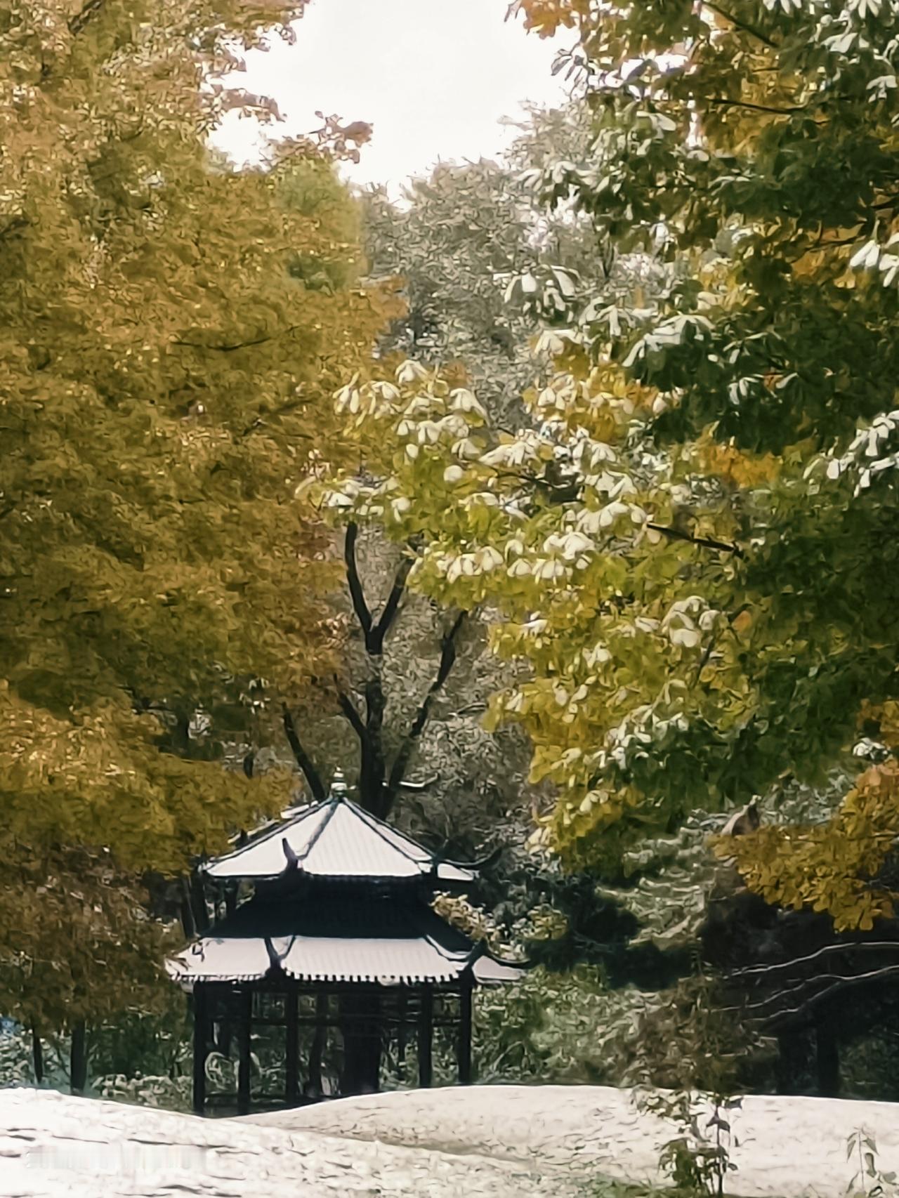 一张图证明秋天来了尔滨现在已经是深秋了。以前这个时候，树叶都落了，可现在依然茂密