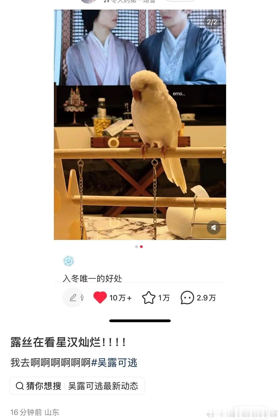 赵露思营业照放了和吴磊的星汉灿烂，网友直呼吴露可逃 szd