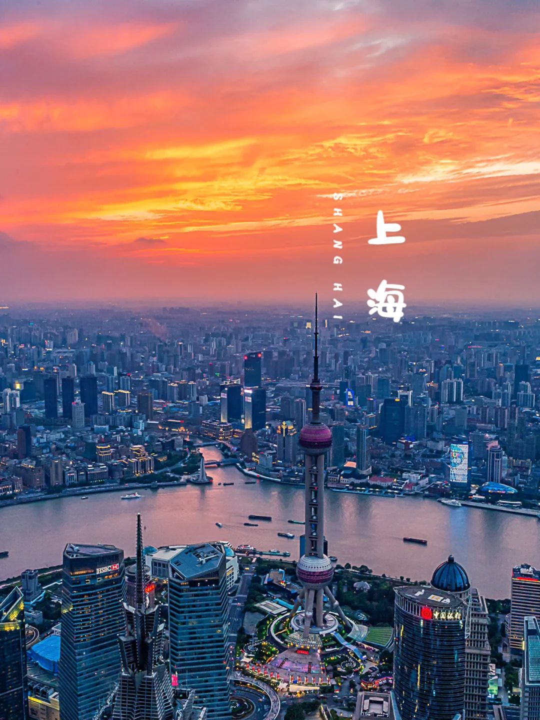 这样的上海丨怎能不让人心生欢喜📸‼️