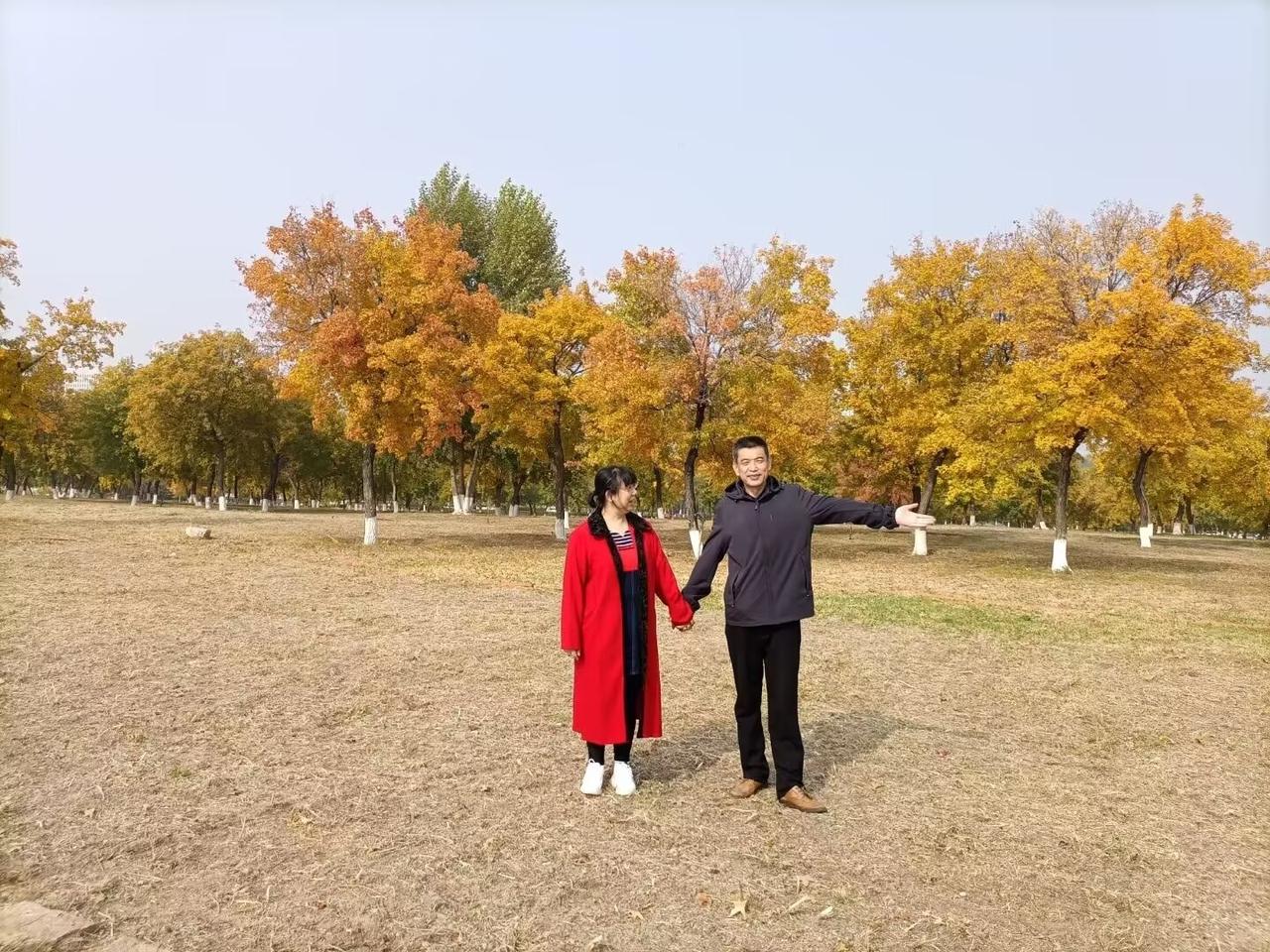 鹧鸪天：闲吟

文/原点

黄菊盈香满画楼，红枫遍野映清秋。

层林尽染情如故，
