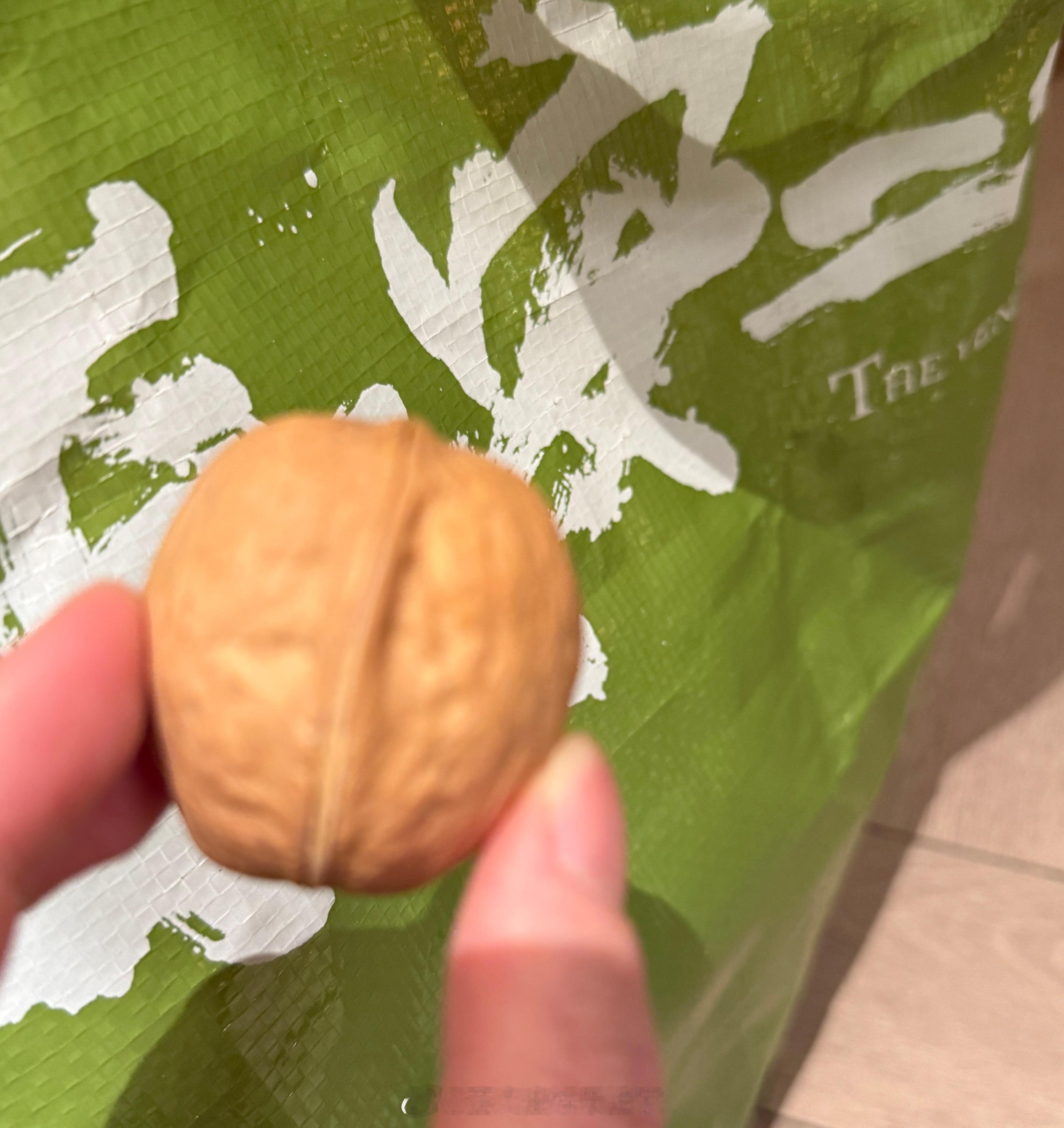 成毅成毅长安二十四计 谢谢成毅老师送的核桃，吃之！！！ 