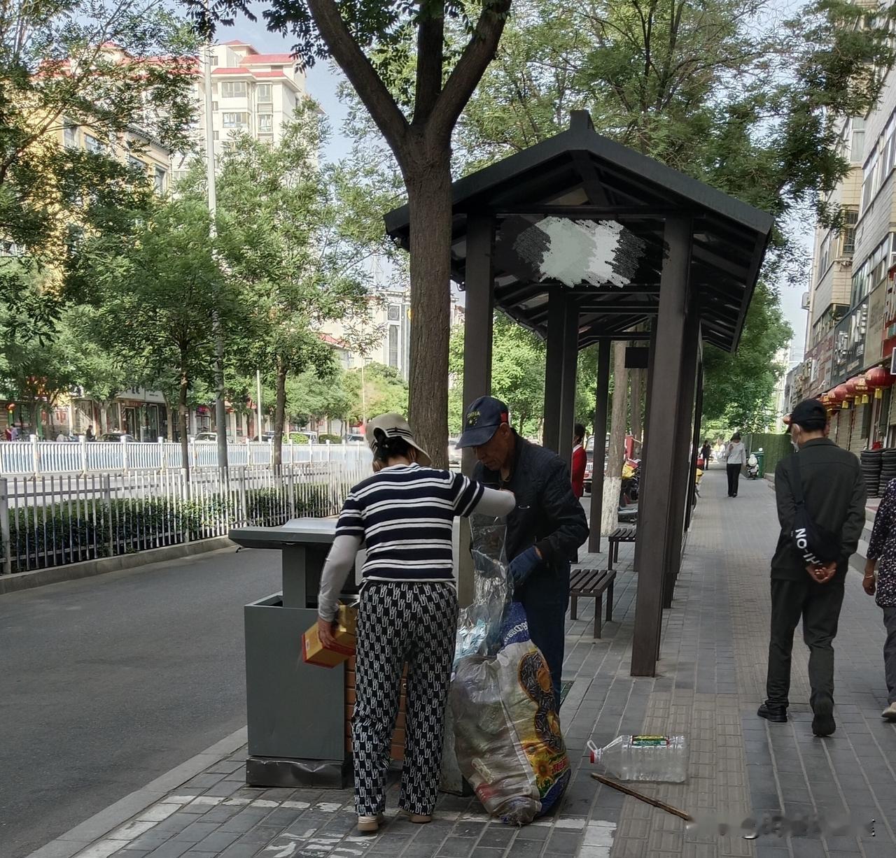 每天清早都见这对夫妻翻垃圾桶，可怜又可气，真不知道该同情还是该举报！

每天早上