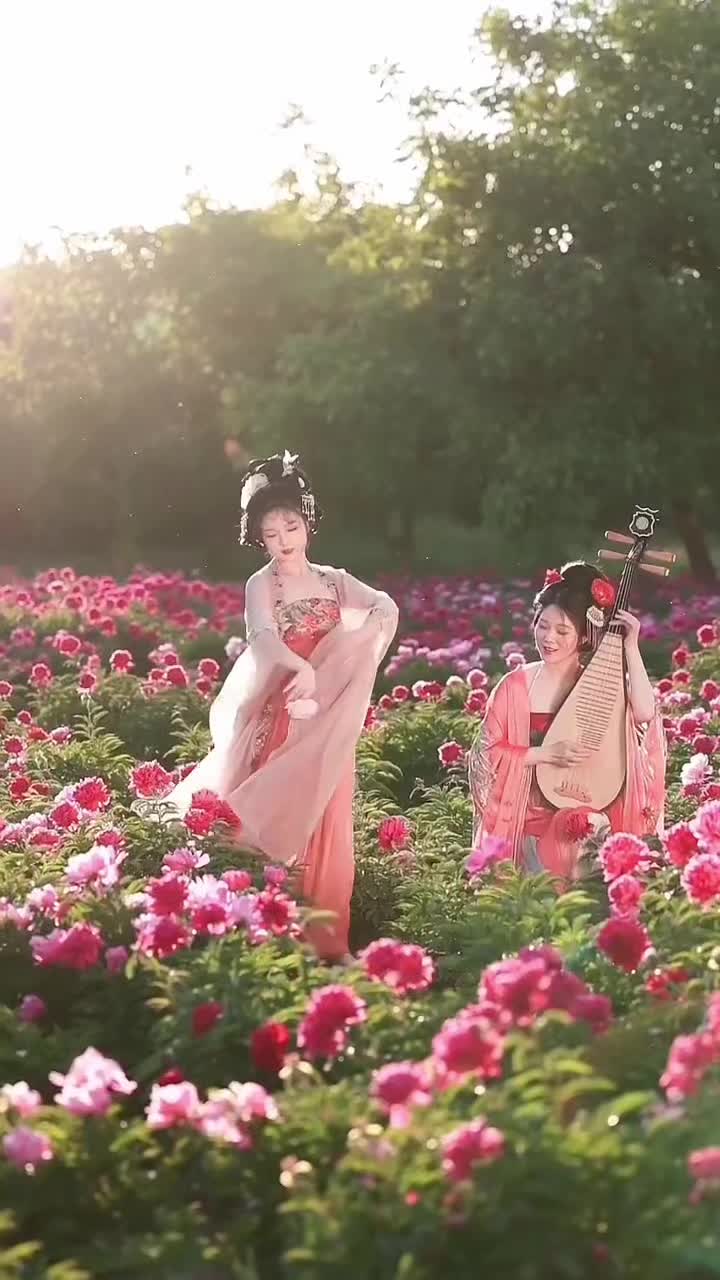 咸阳牡丹园