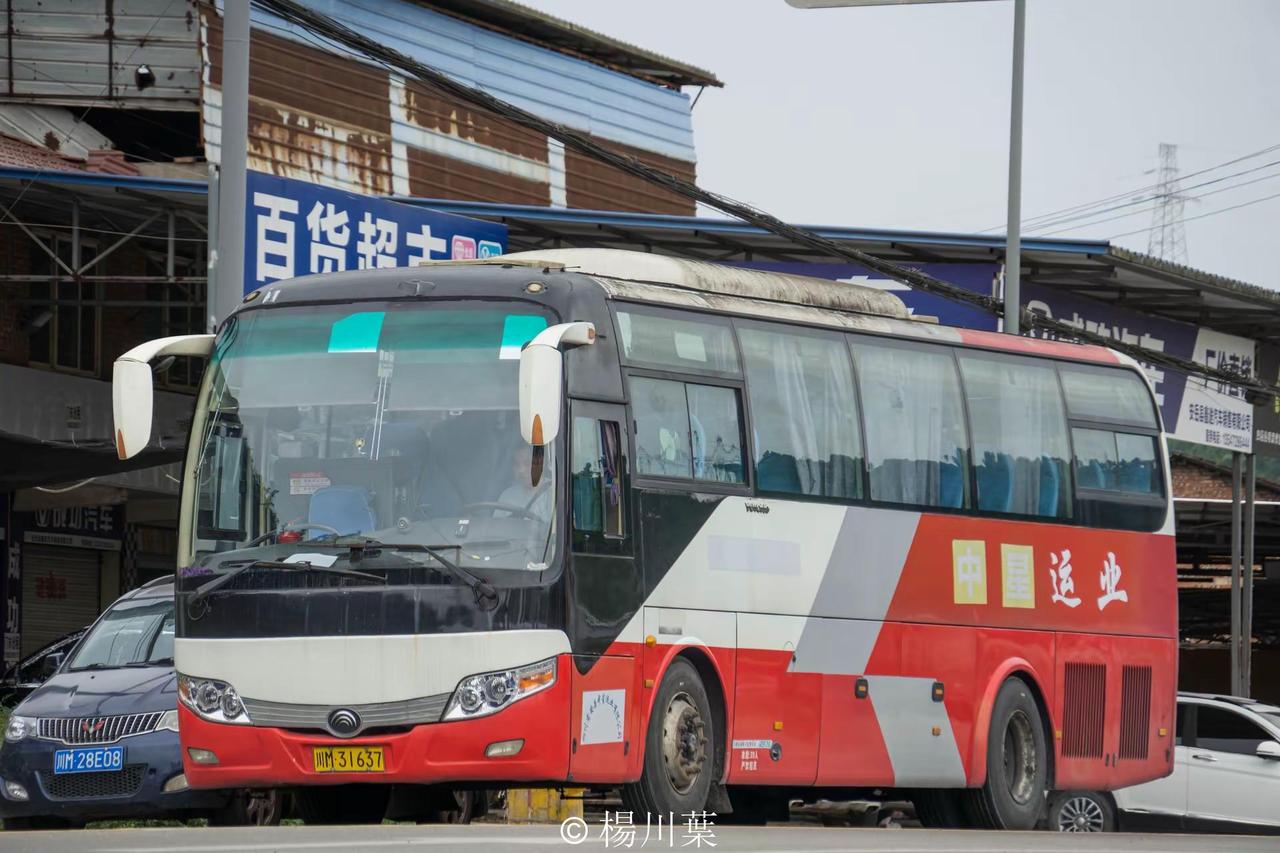 20260627。今日特见宇通客车 野马客车 安凯客车 客运