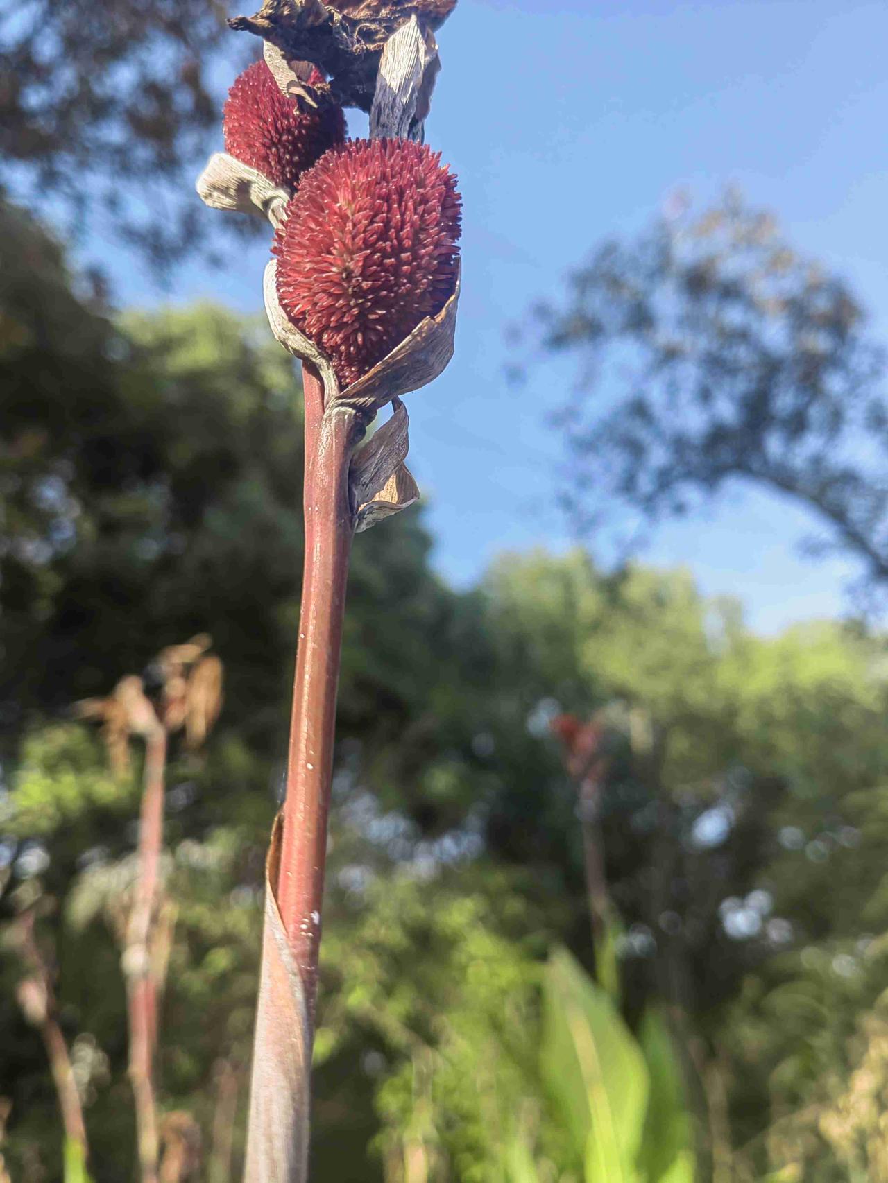 我的今日状态：😁轻松愉快
我这里的天气：☀️晴天