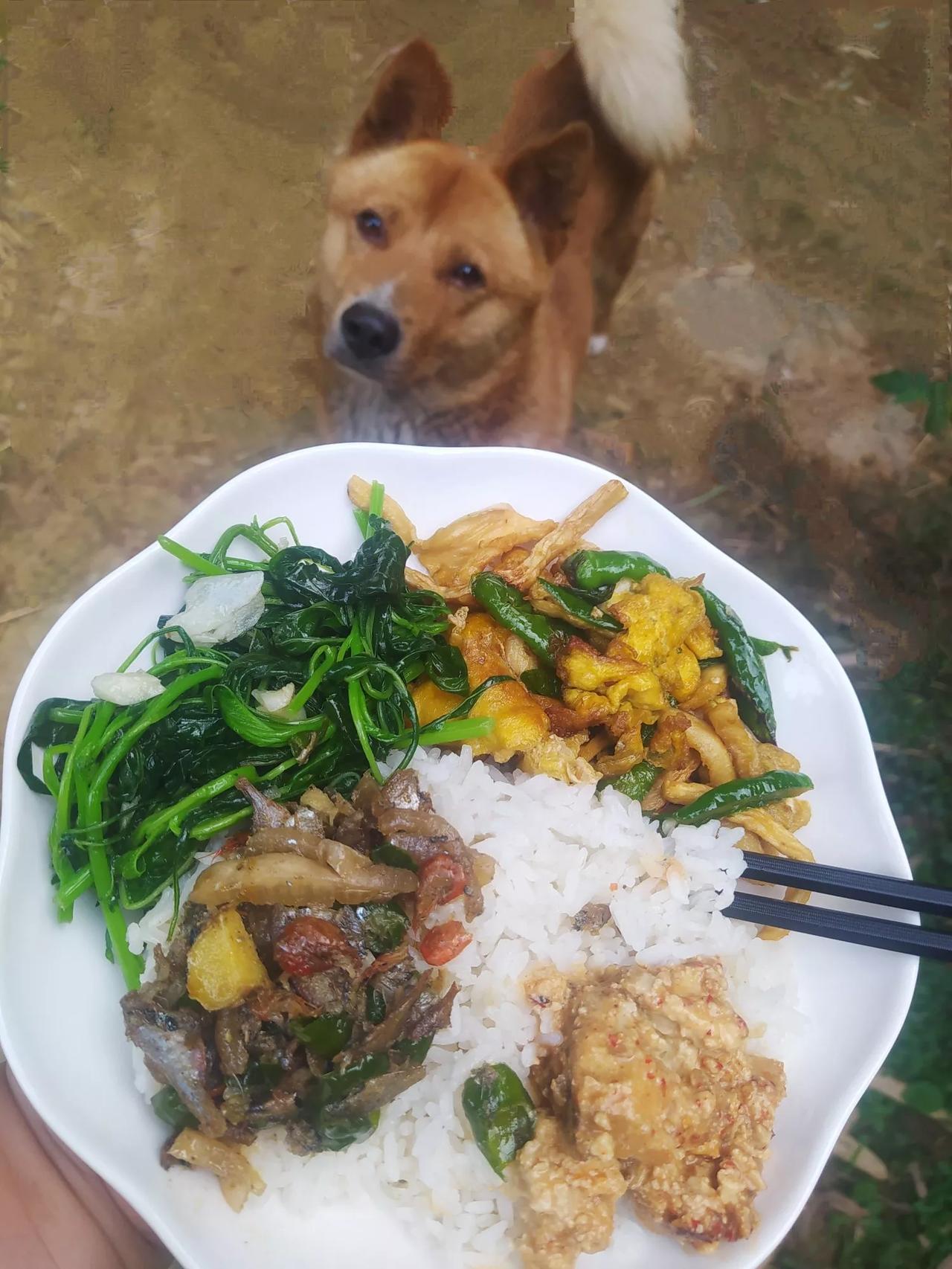 山居晚餐，简简单单4个菜，没花一分钱，这算不算，简单却踏实的幸福感？[笑]

大
