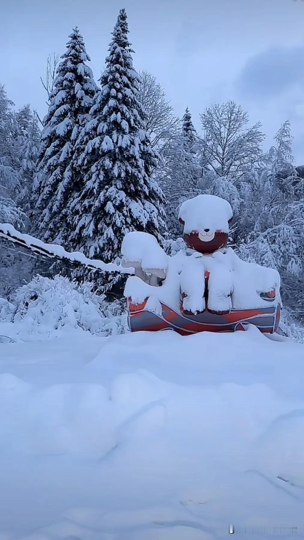 雪地里的可爱雪狗冬日氛围感雪景 雪天的景色真美 最美的雪景， 下雪时拍照巨美 ，