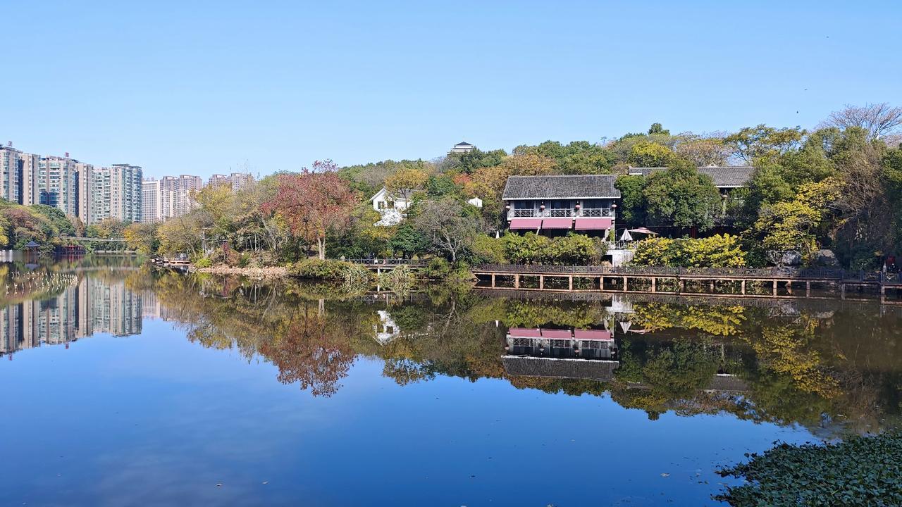 12月16日，衡阳平湖公园，乌桕红得似火，与蓝天白云、碧水相映成趣，构成了一幅绚