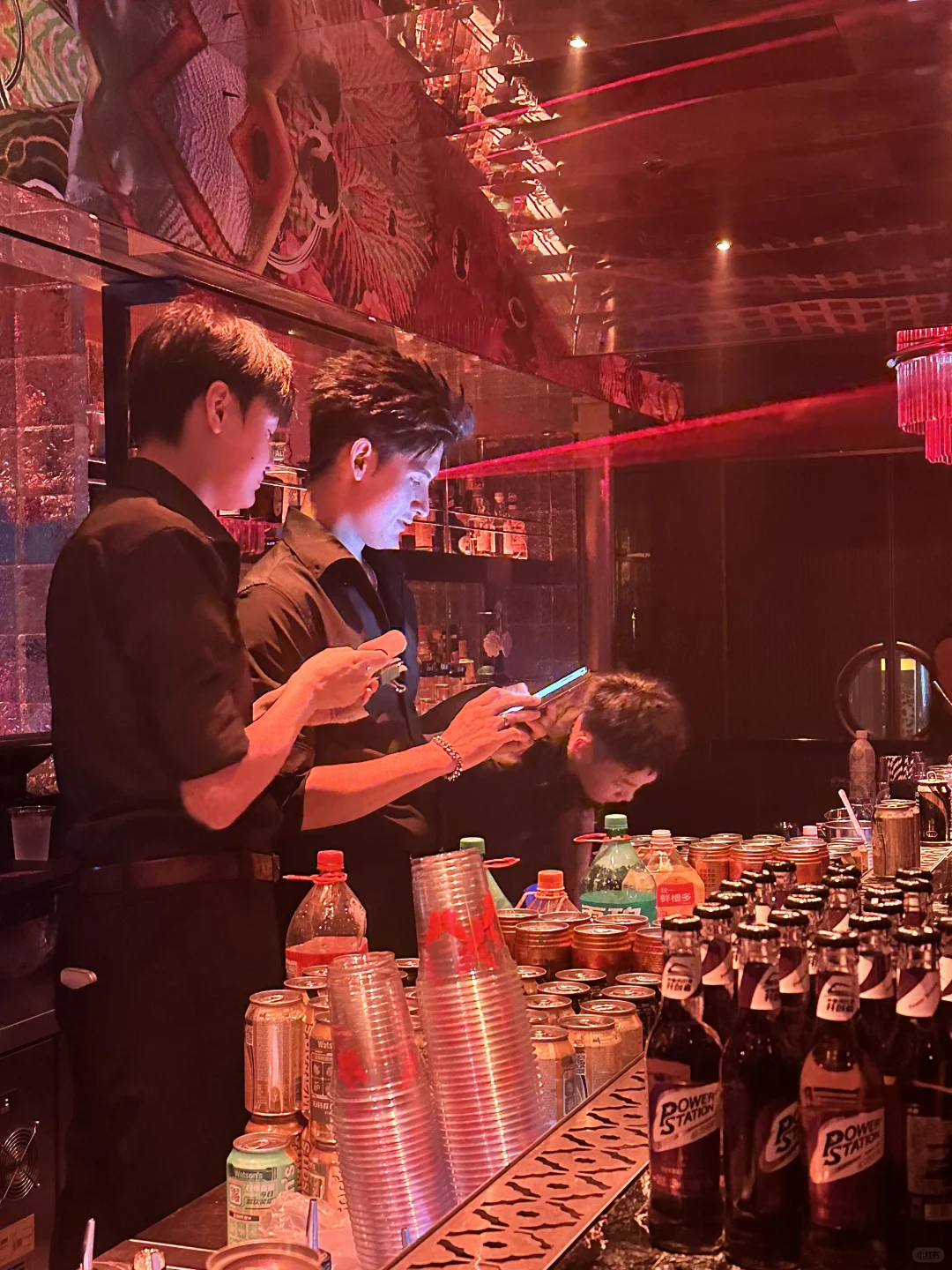 成都蝴蝶🦋酒吧