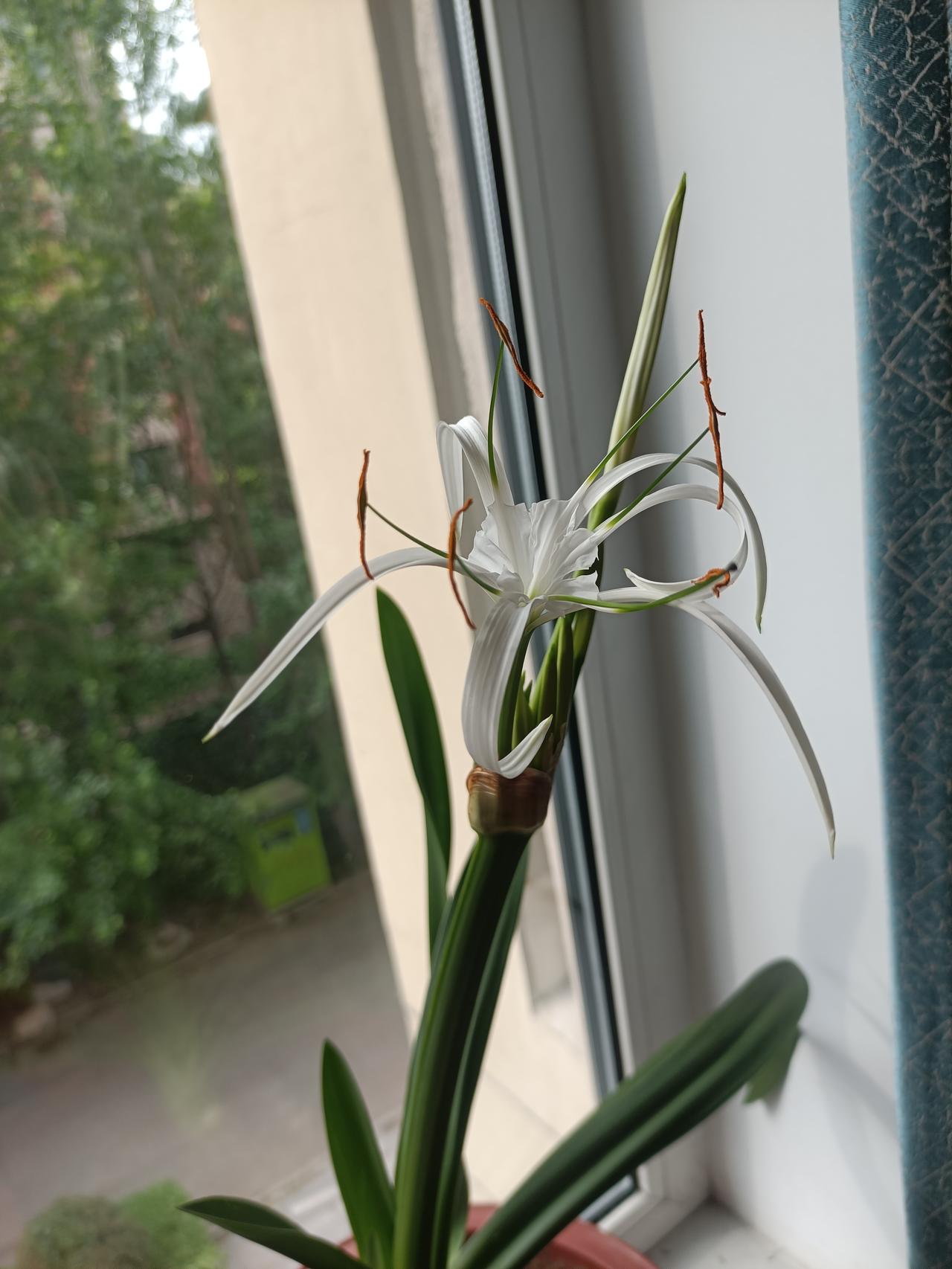 小的时候奶奶说她糊涂了，把好吃的扔了，不能吃的留着了我还当是笑话。现在我也是了，