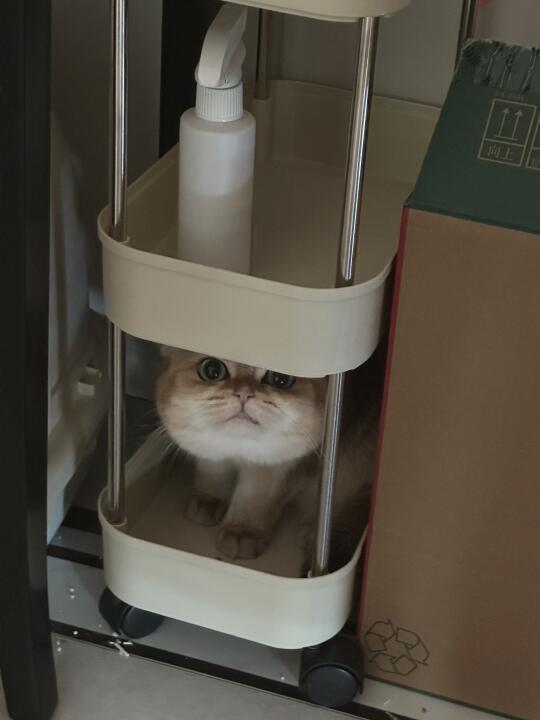 嗯？