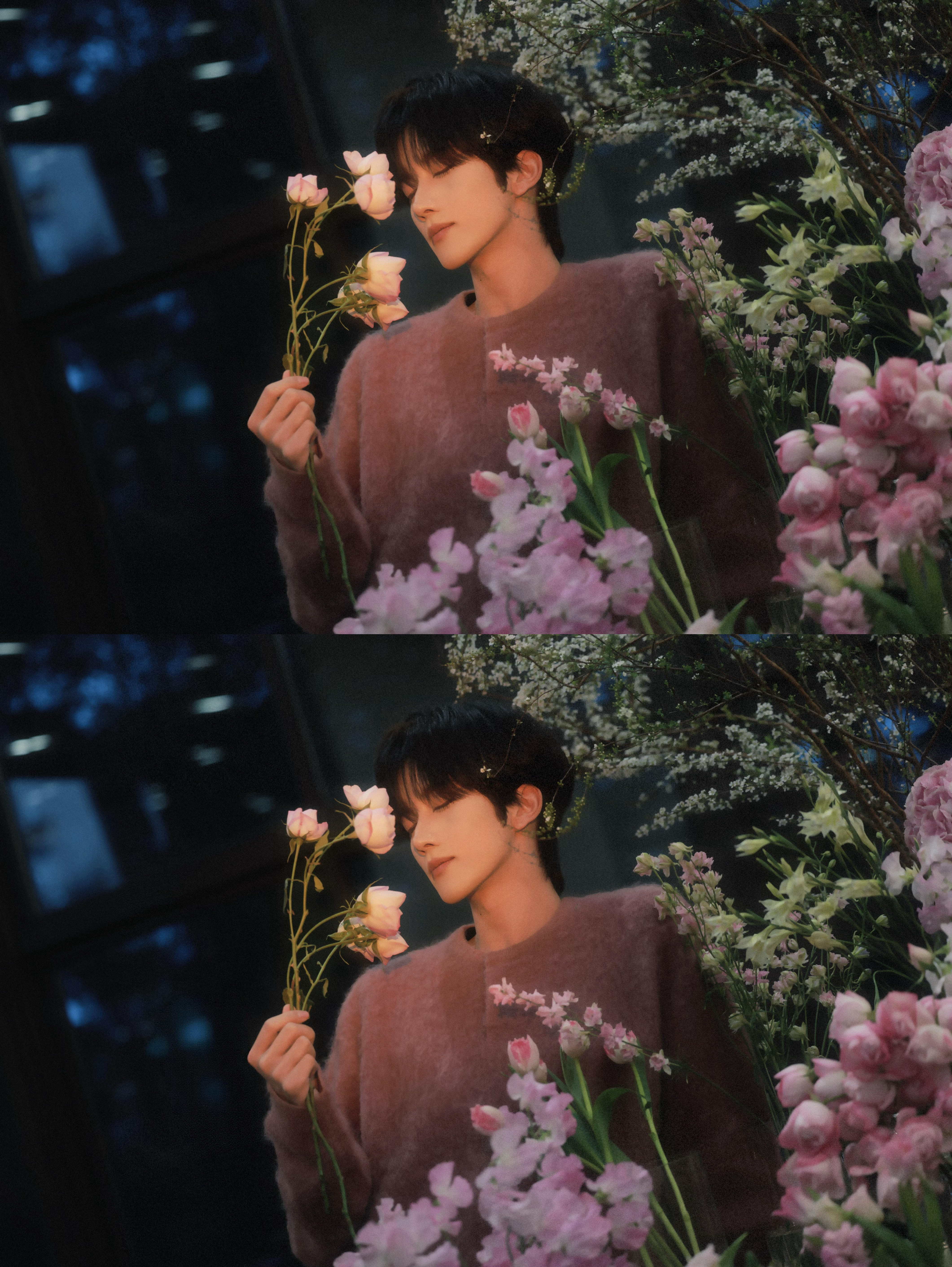 黄星春日大片 黄星今日份更新 春日少年 人比花娇