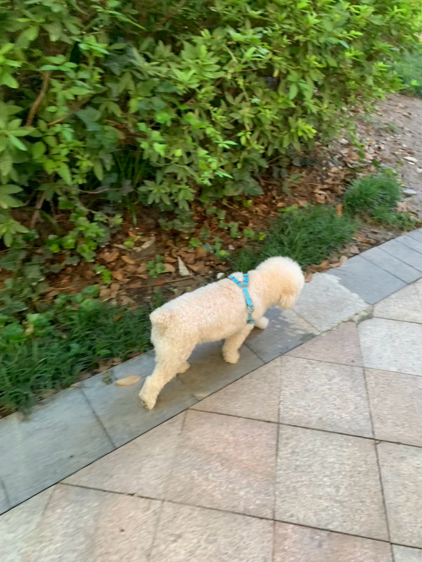 17级台风前的宁静…… 