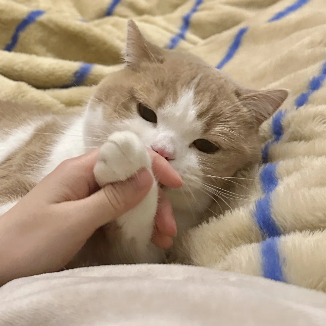 人、泥好香啊